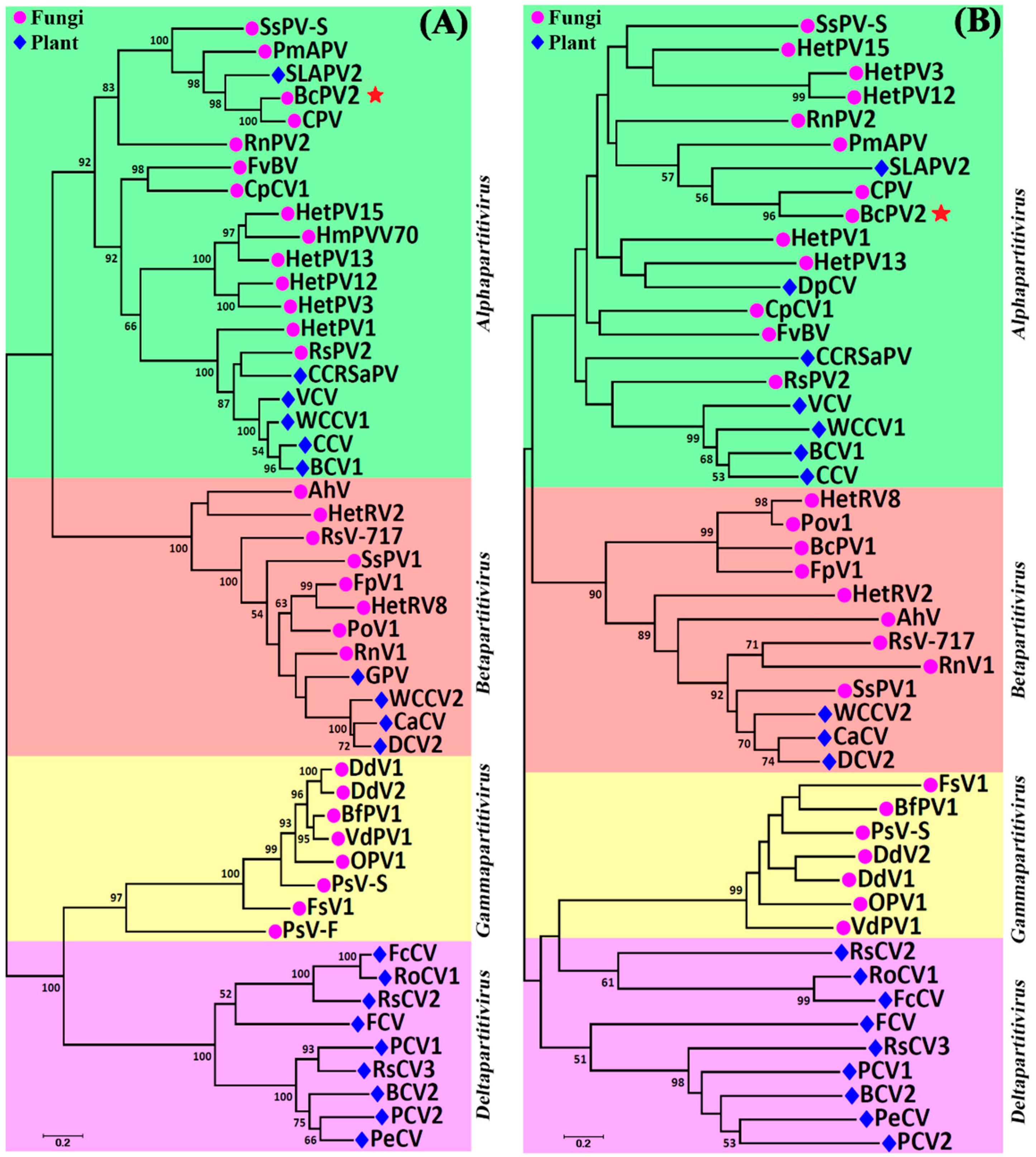 Viruses 11 00024 g007