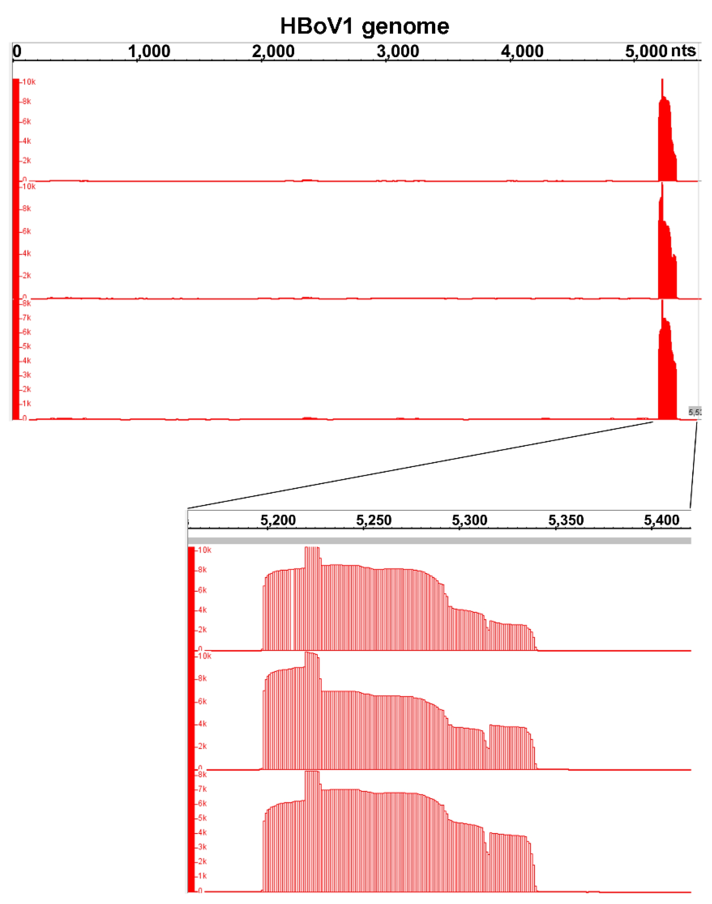 Viruses 11 00033 g005