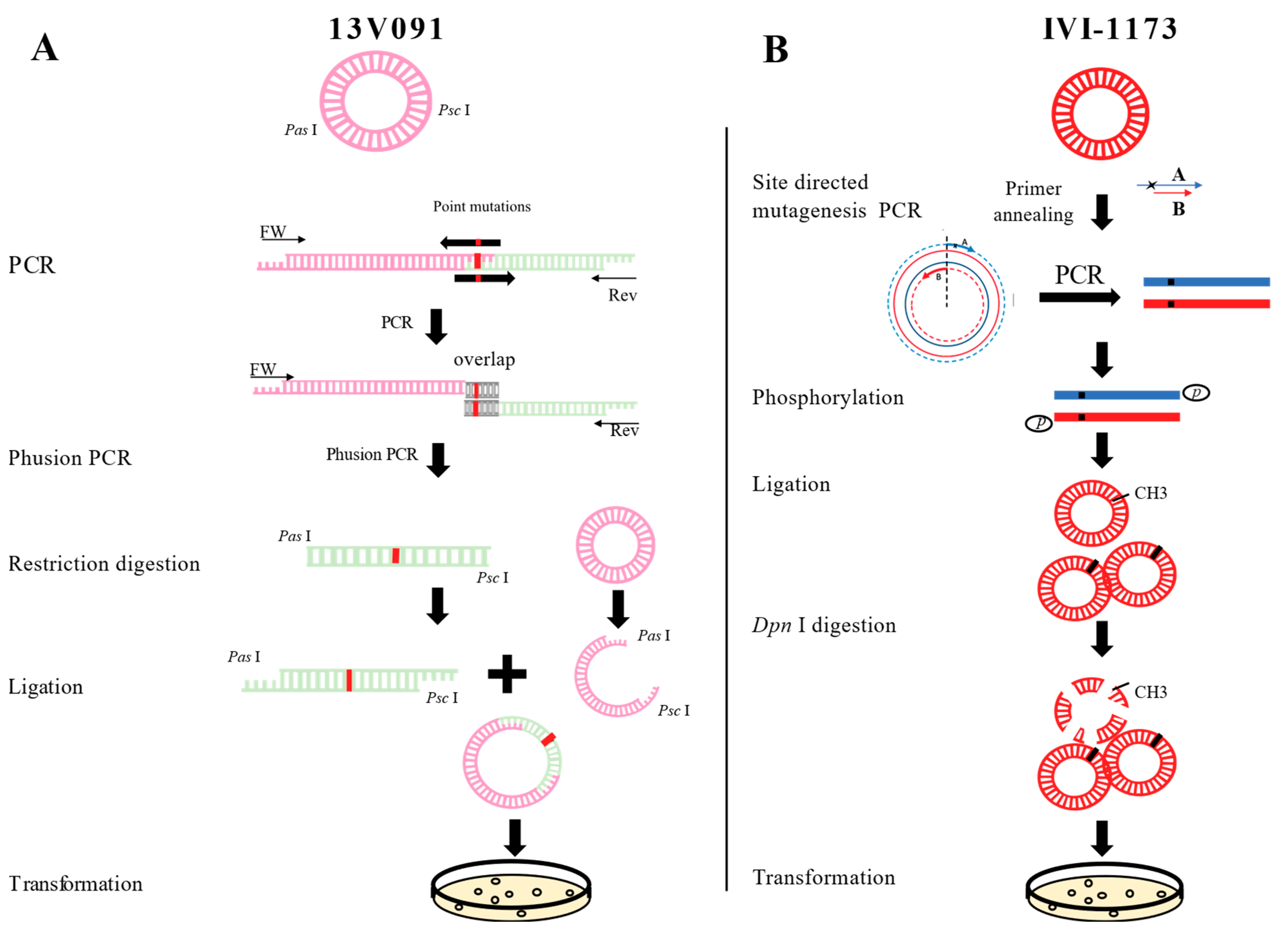 Viruses 11 00036 g001
