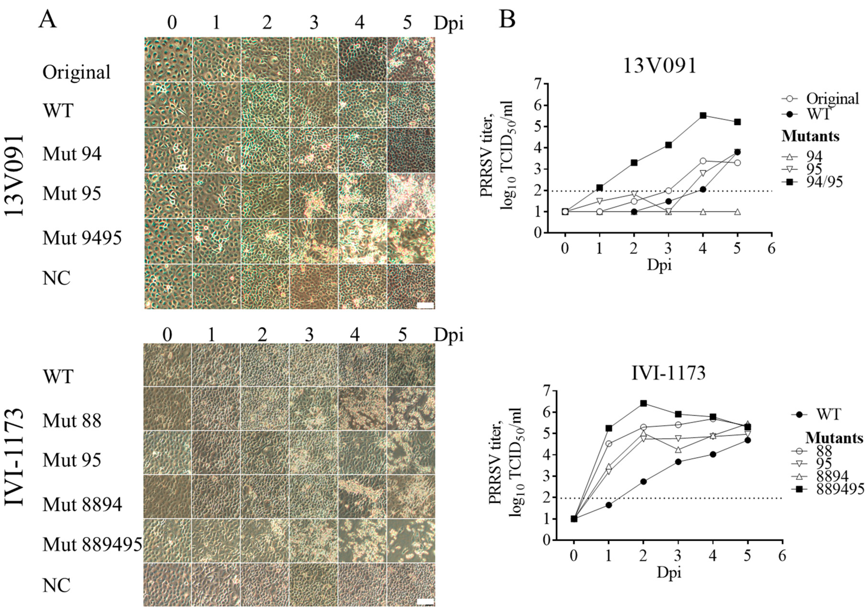 Viruses 11 00036 g004