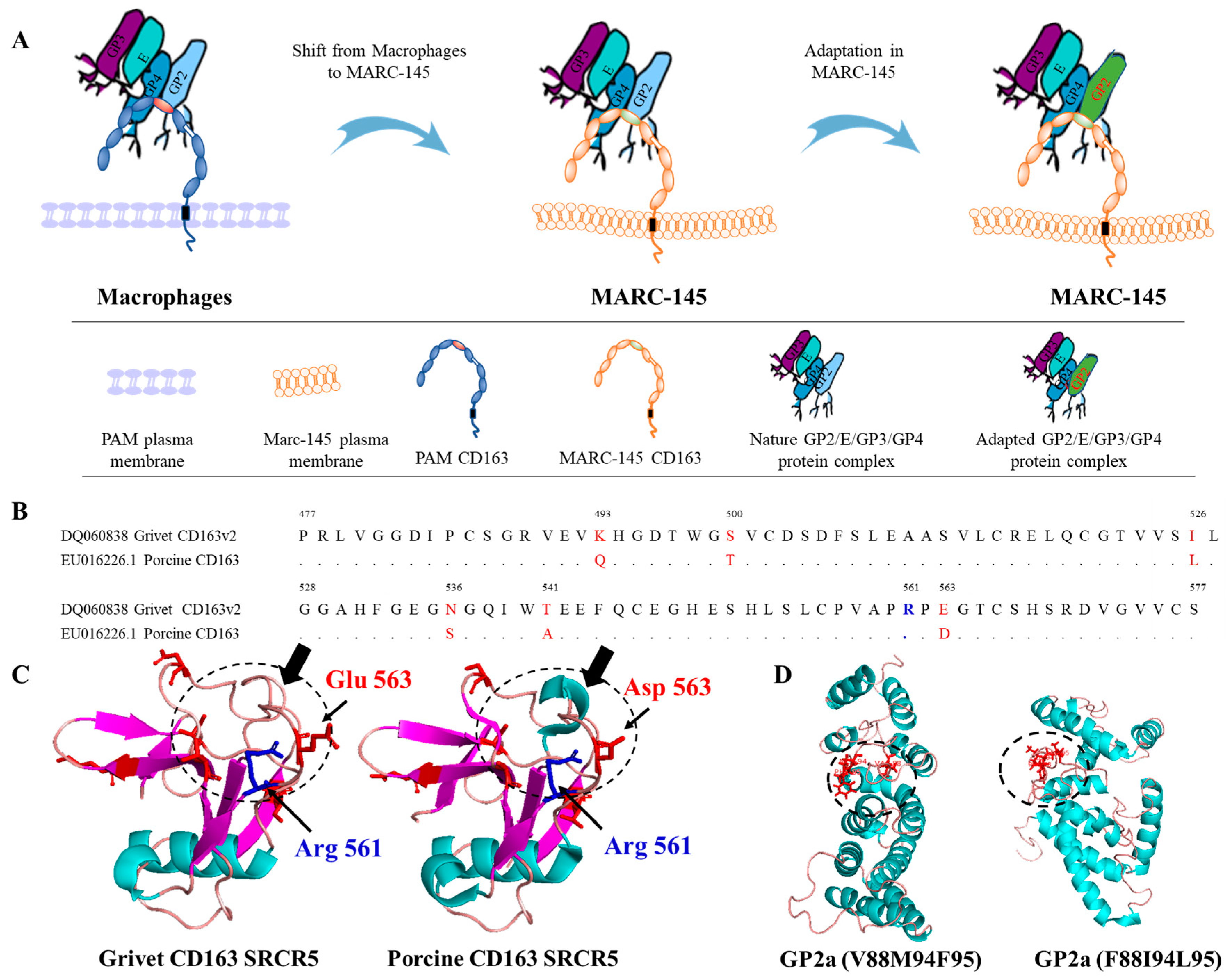 Viruses 11 00036 g007