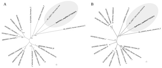 Viruses 11 00037 g0a1