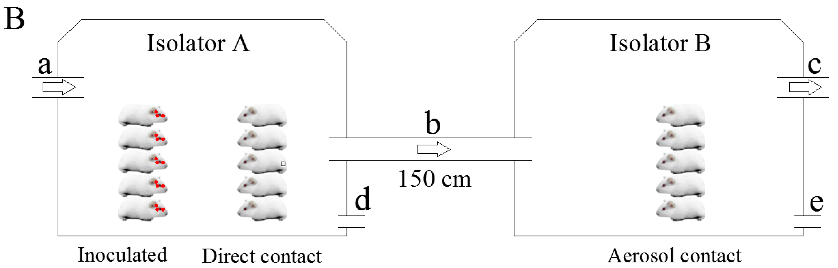 Viruses 11 00040 g001b