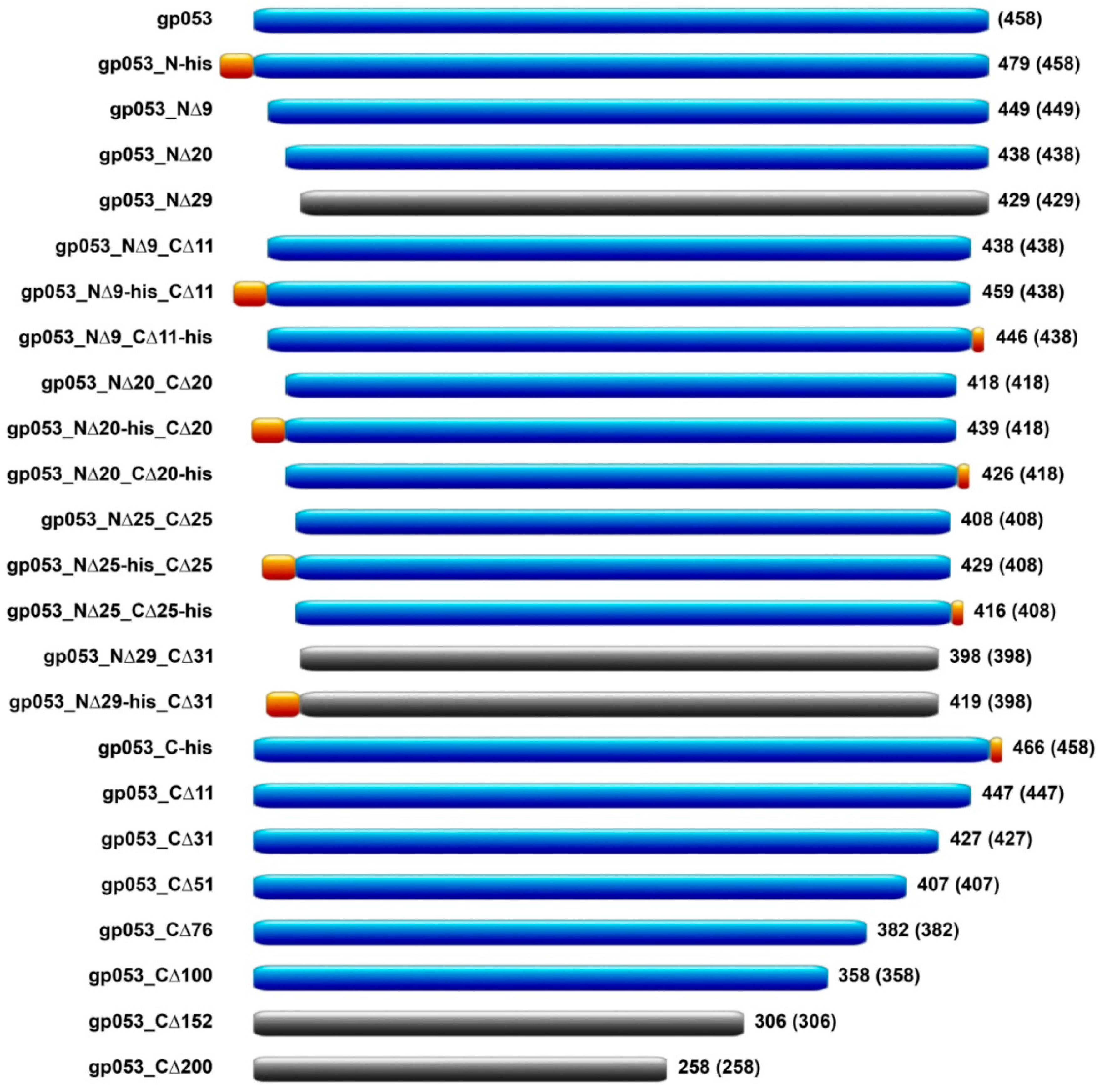 Viruses 11 00050 g006