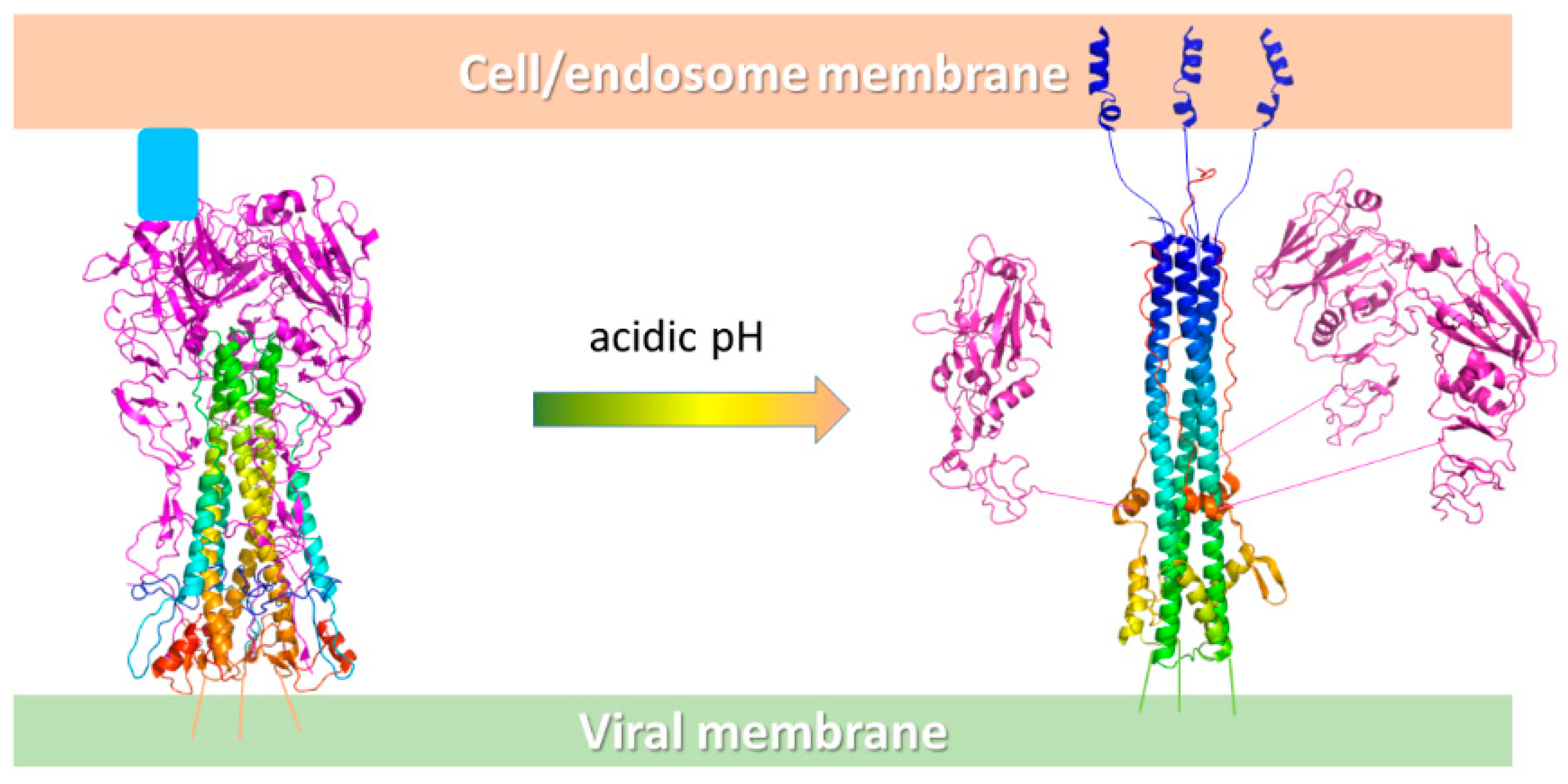 Viruses 11 00051 g007