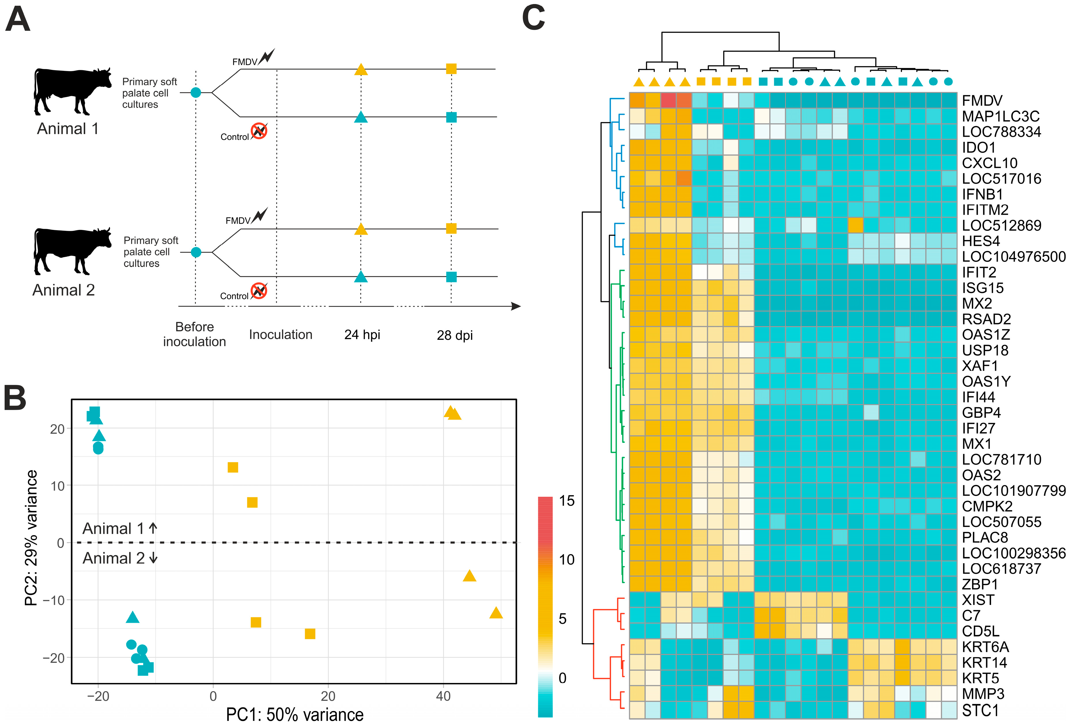 Viruses 11 00053 g001