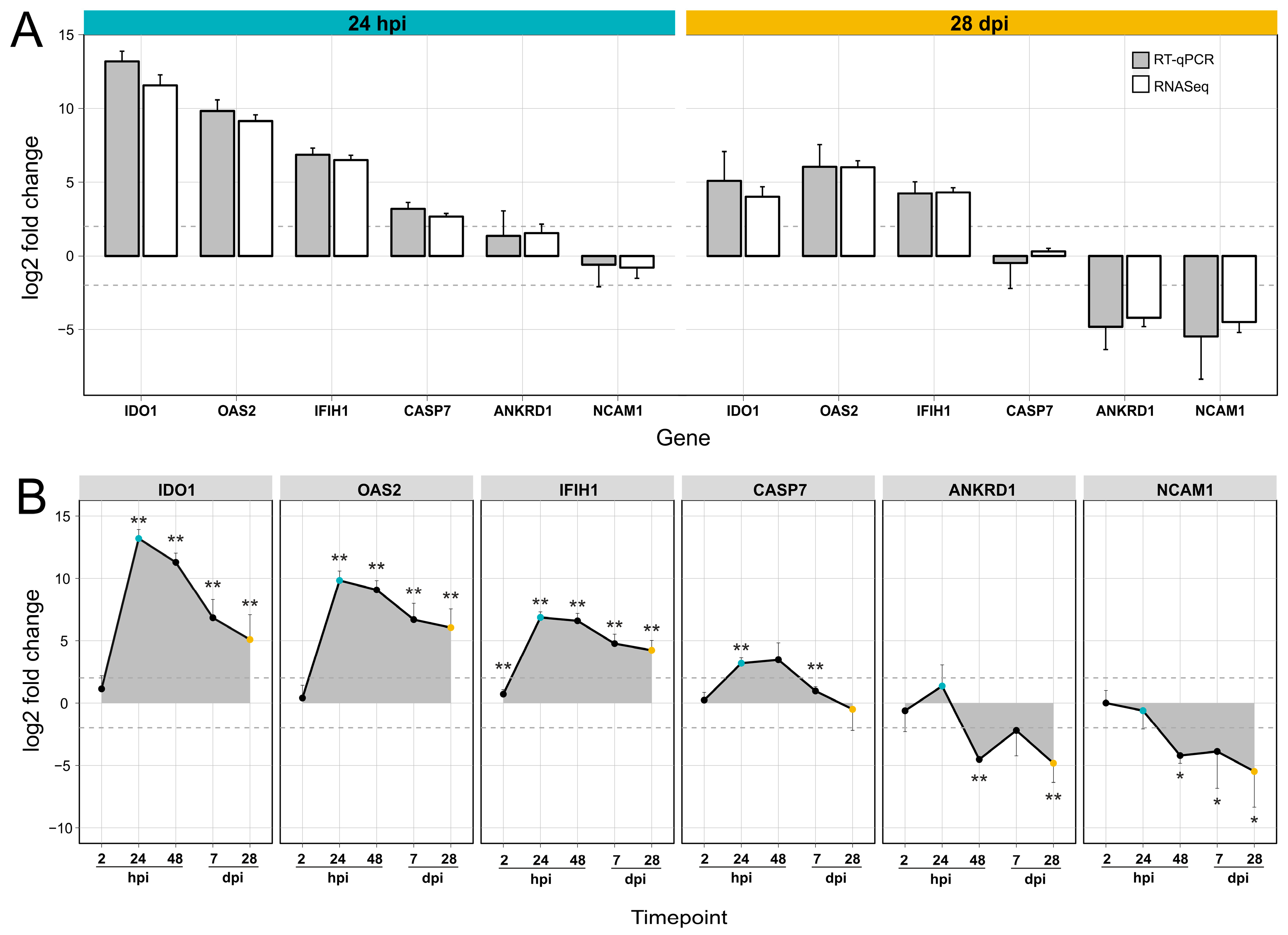 Viruses 11 00053 g004