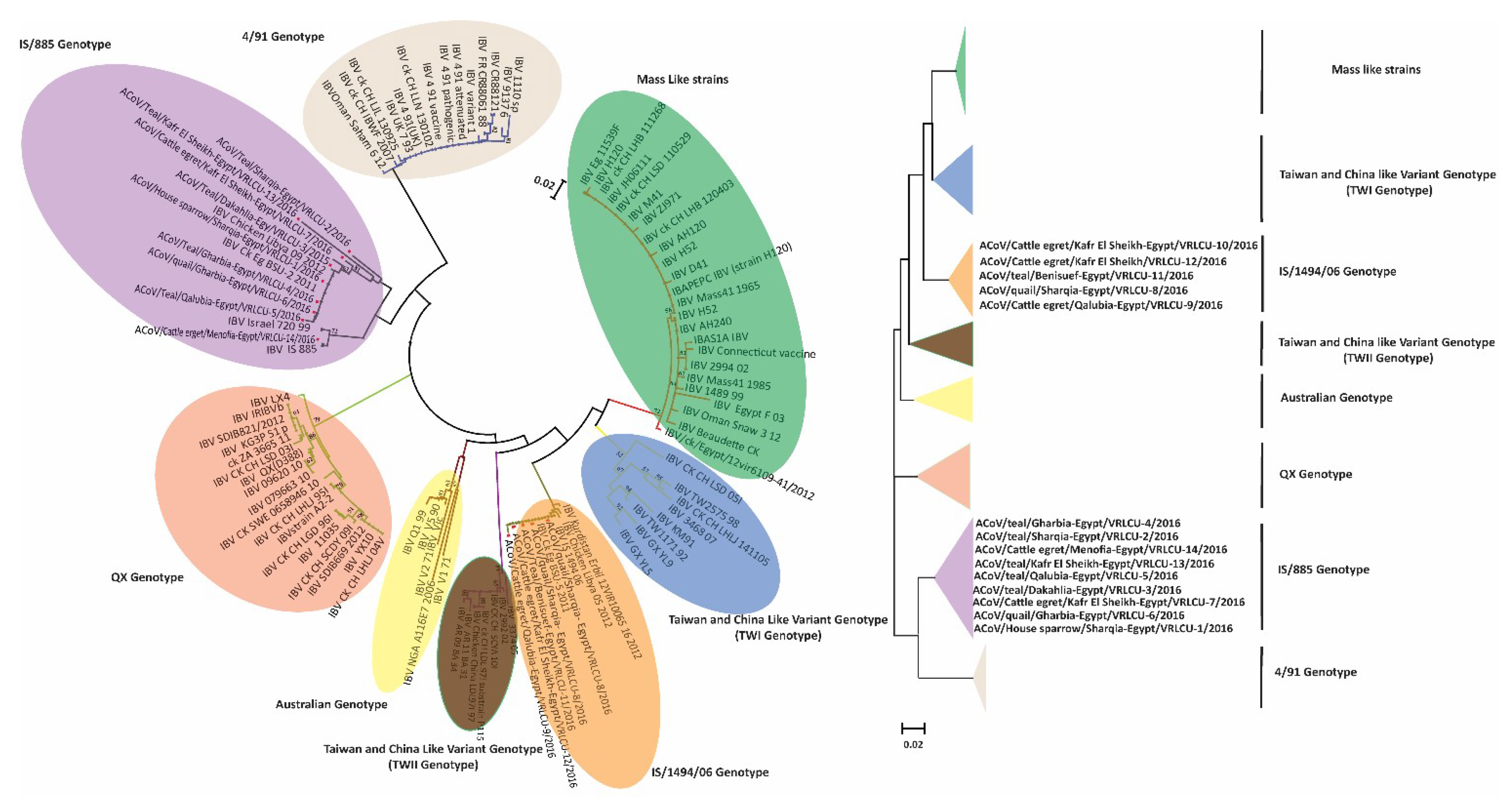 Viruses 11 00057 g003