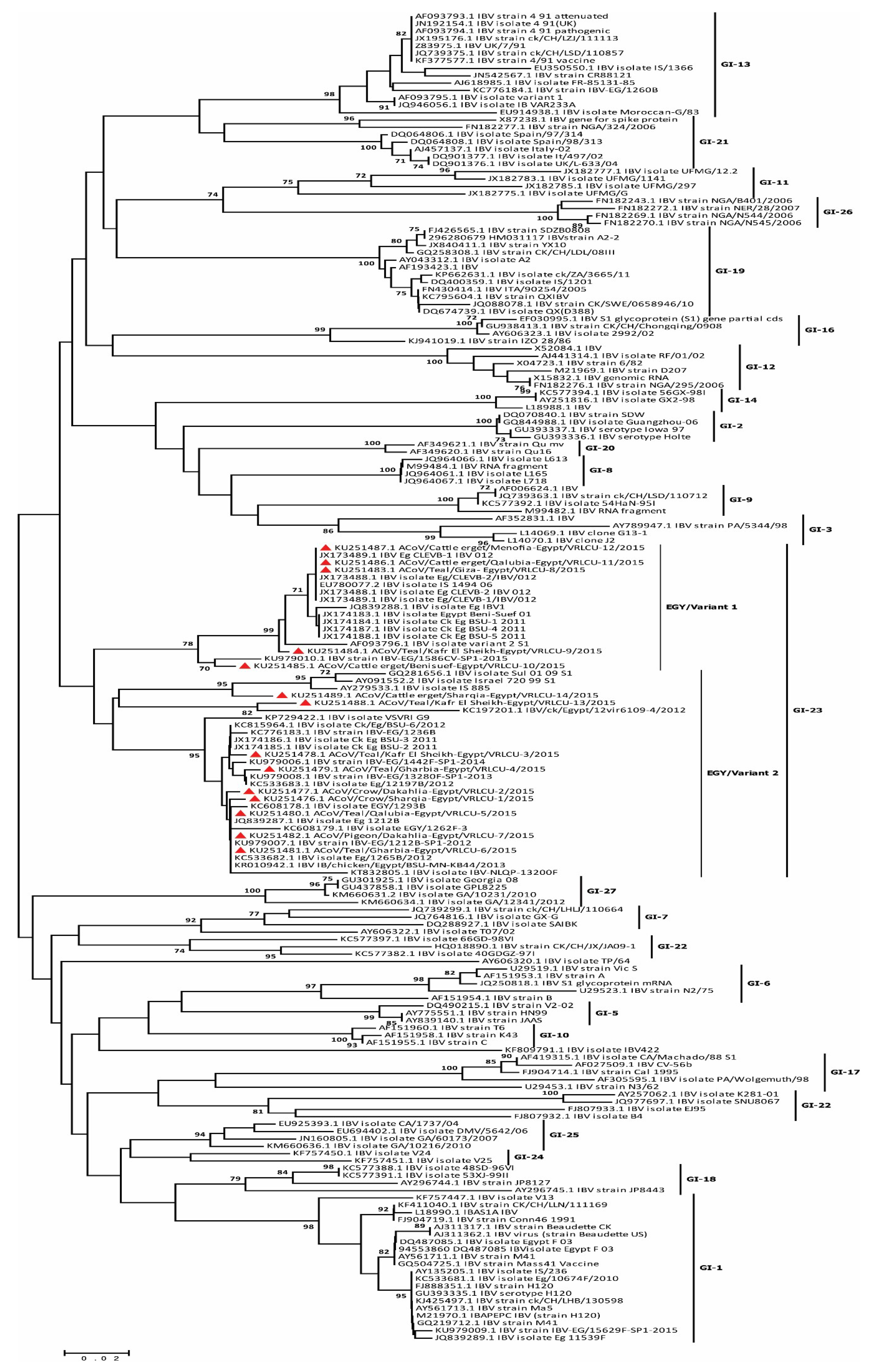 Viruses 11 00057 g004