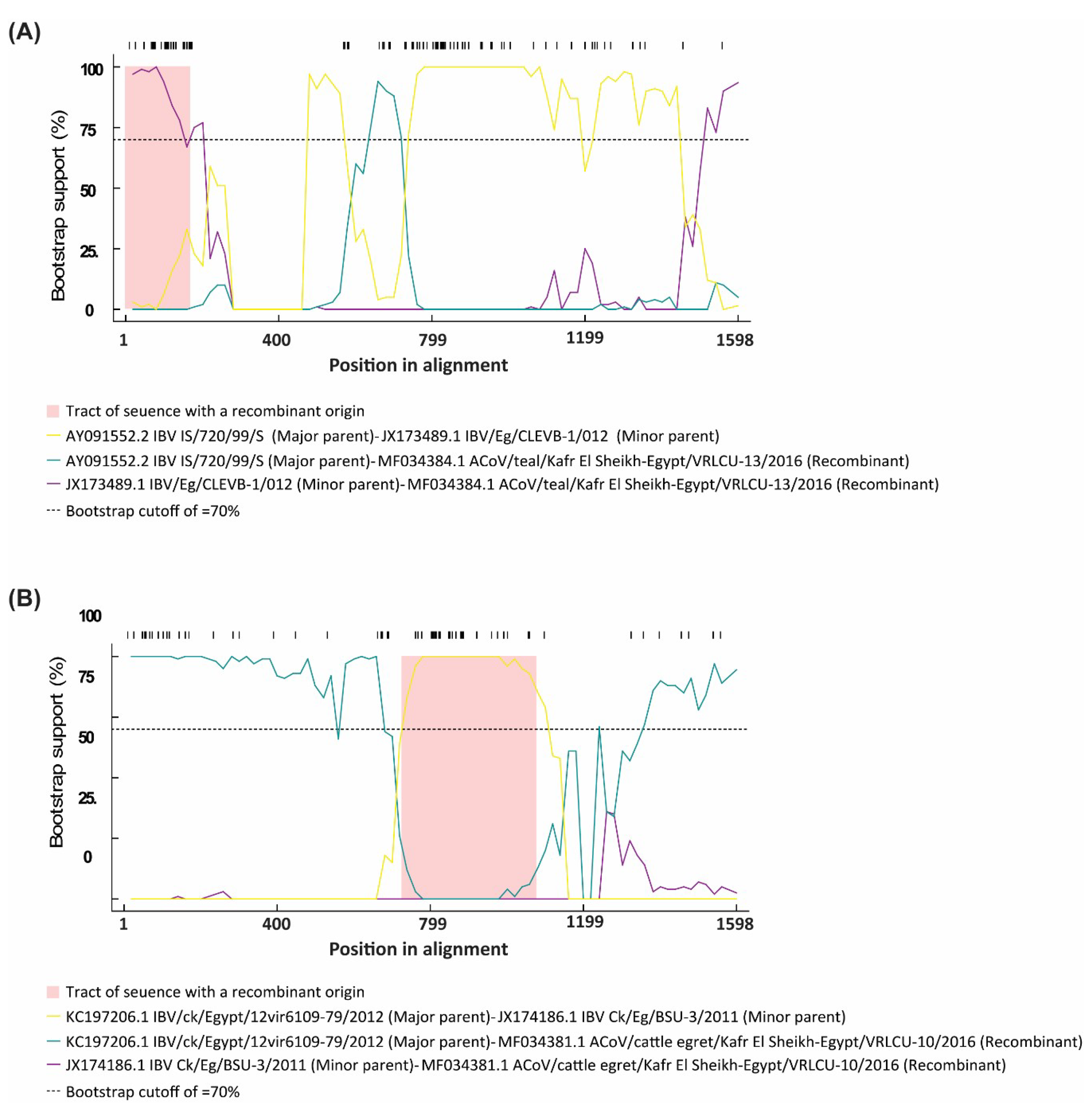 Viruses 11 00057 g006