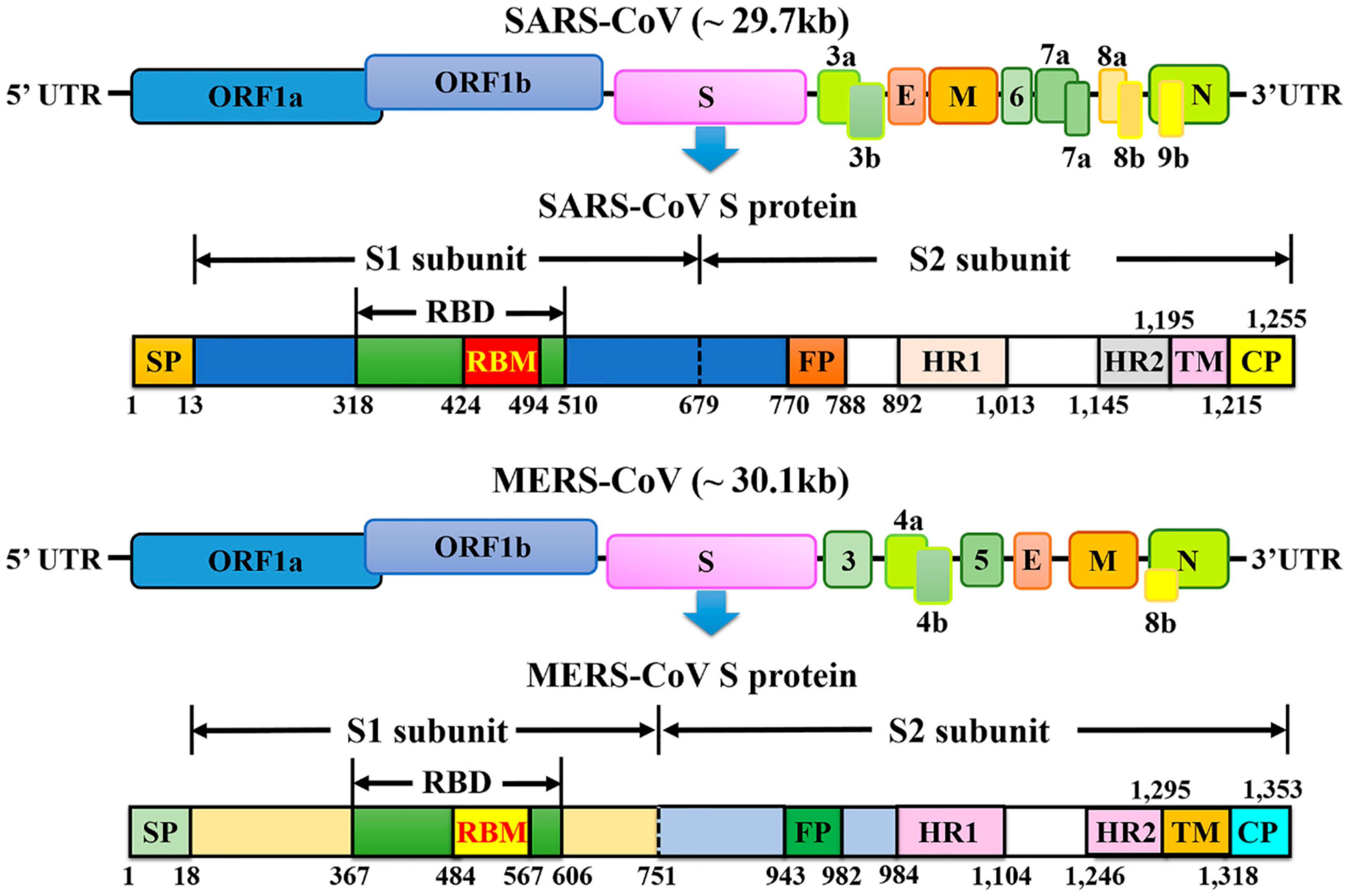 Viruses 11 00059 g001