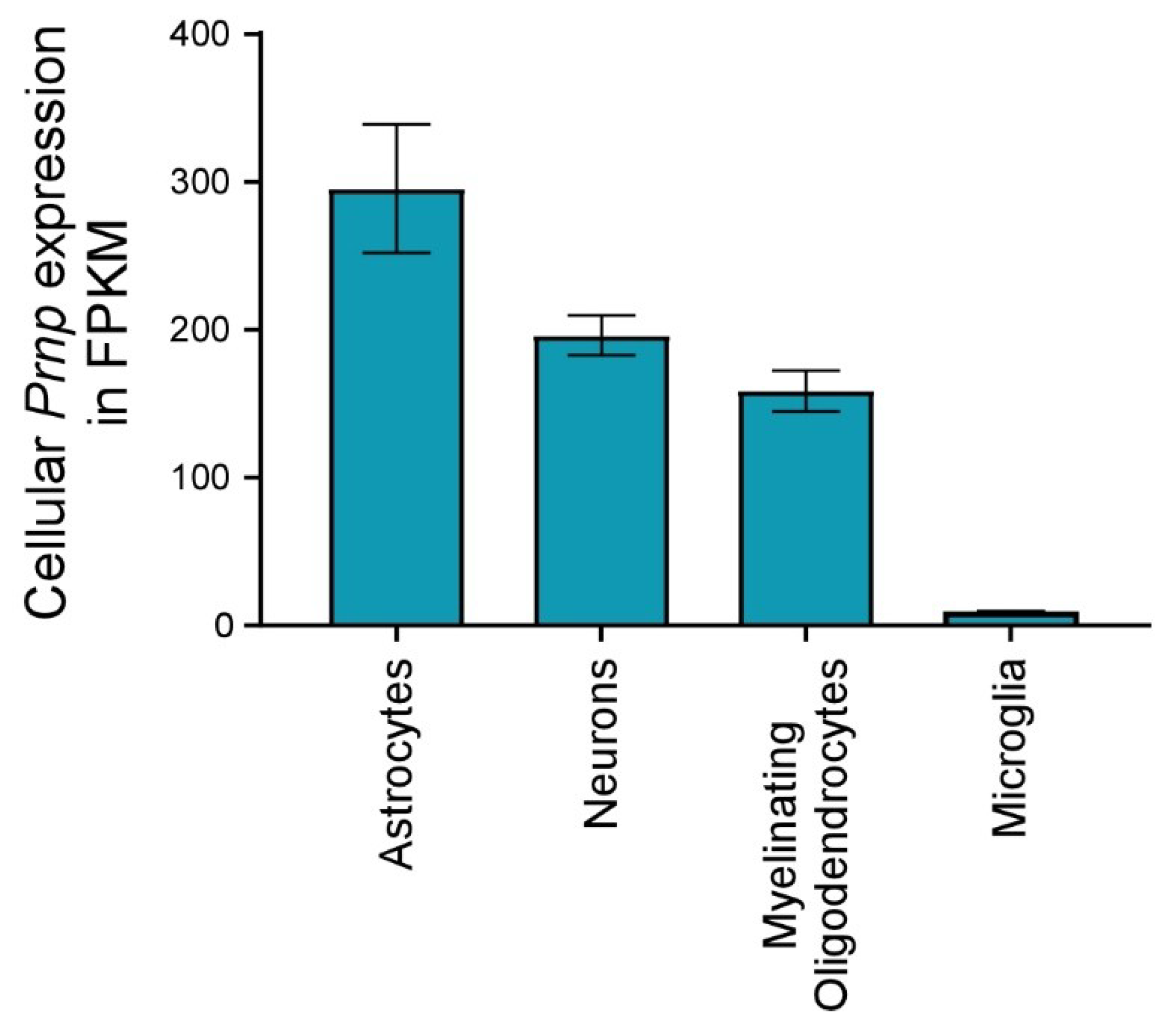 Viruses 11 00065 g006