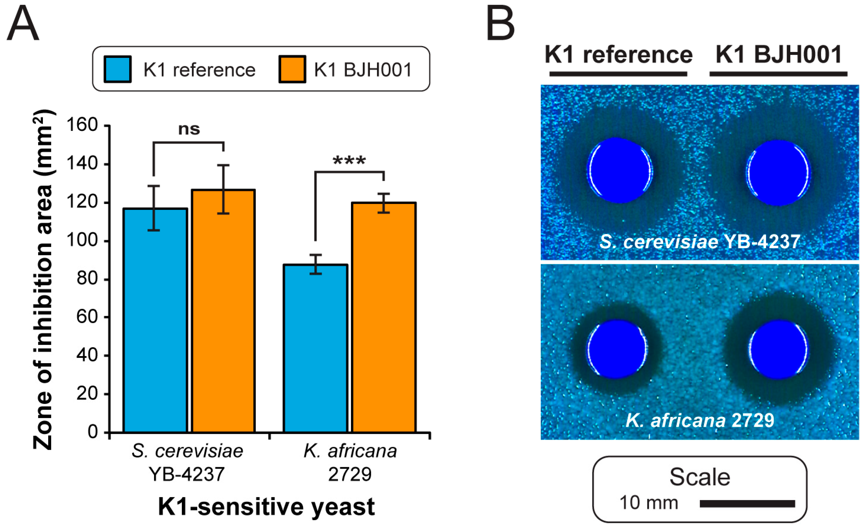 Viruses 11 00070 g005