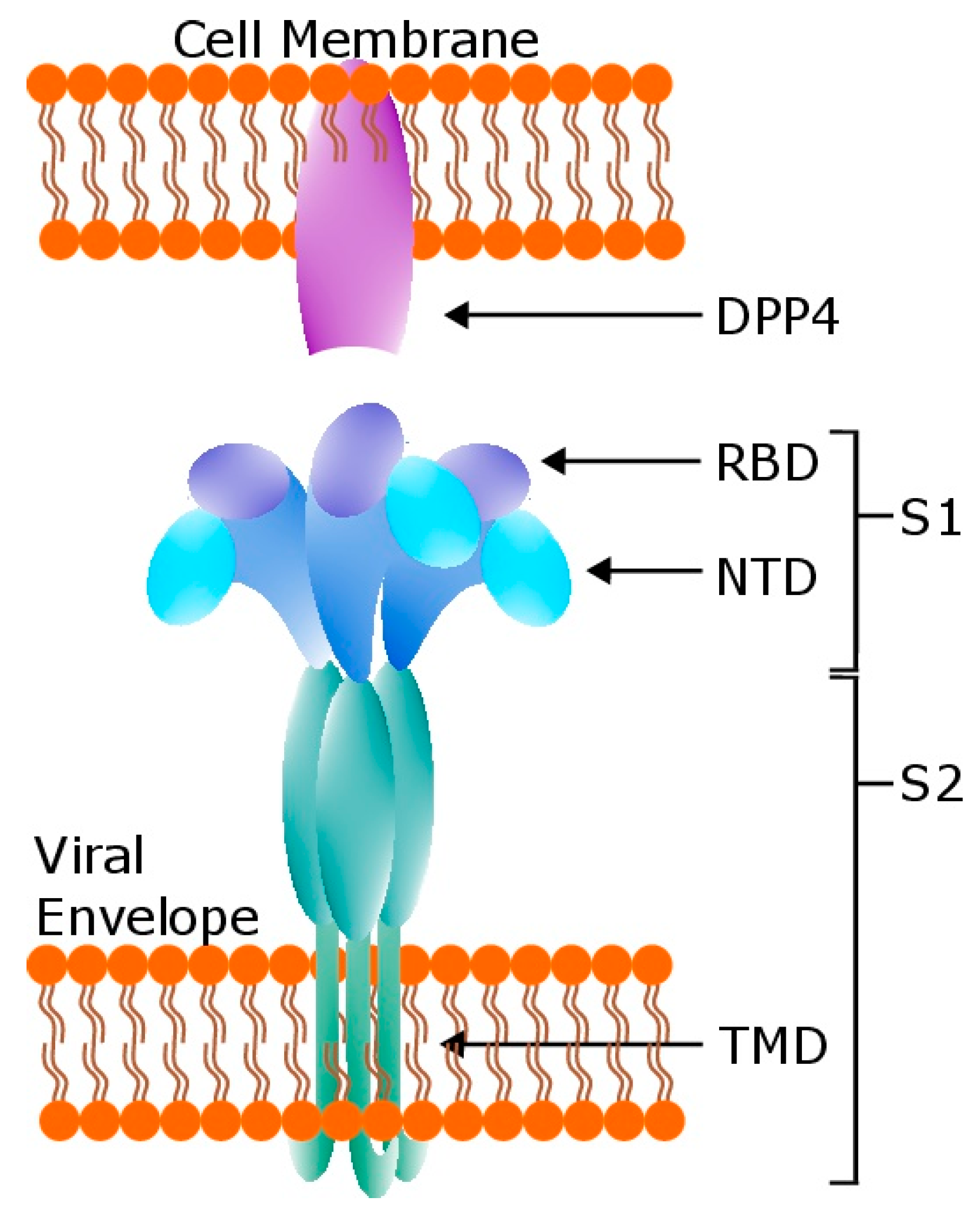 Viruses 11 00074 g001