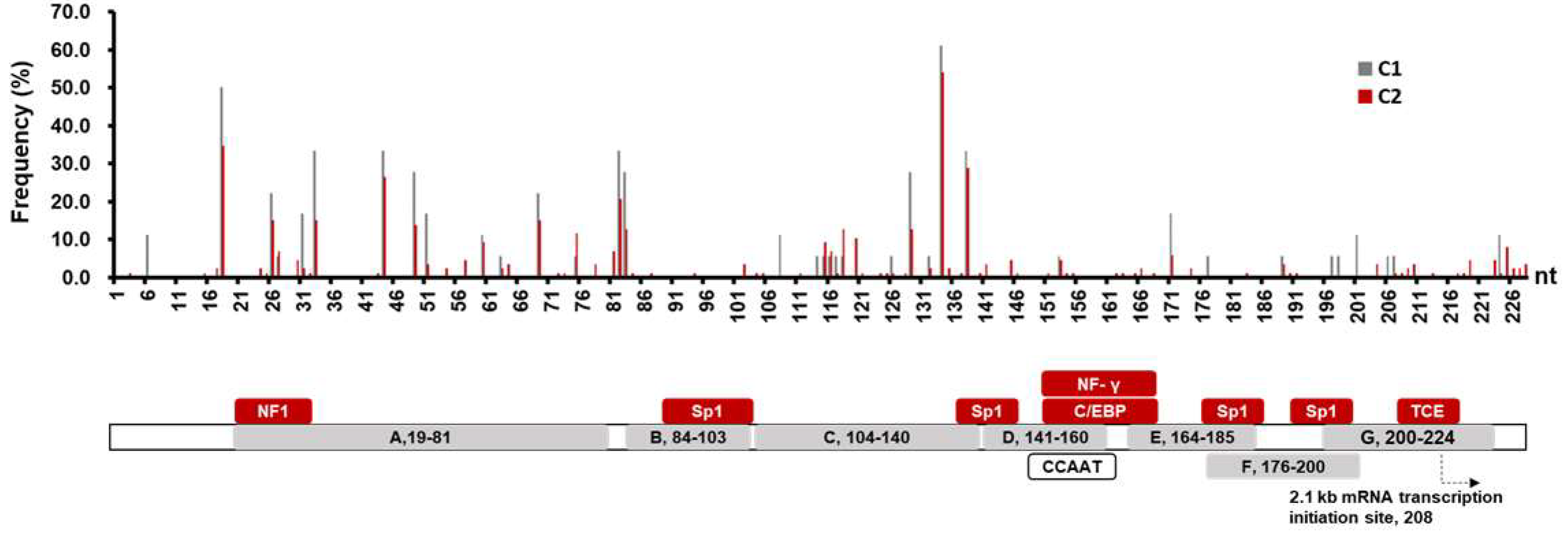 Viruses 11 00078 g002