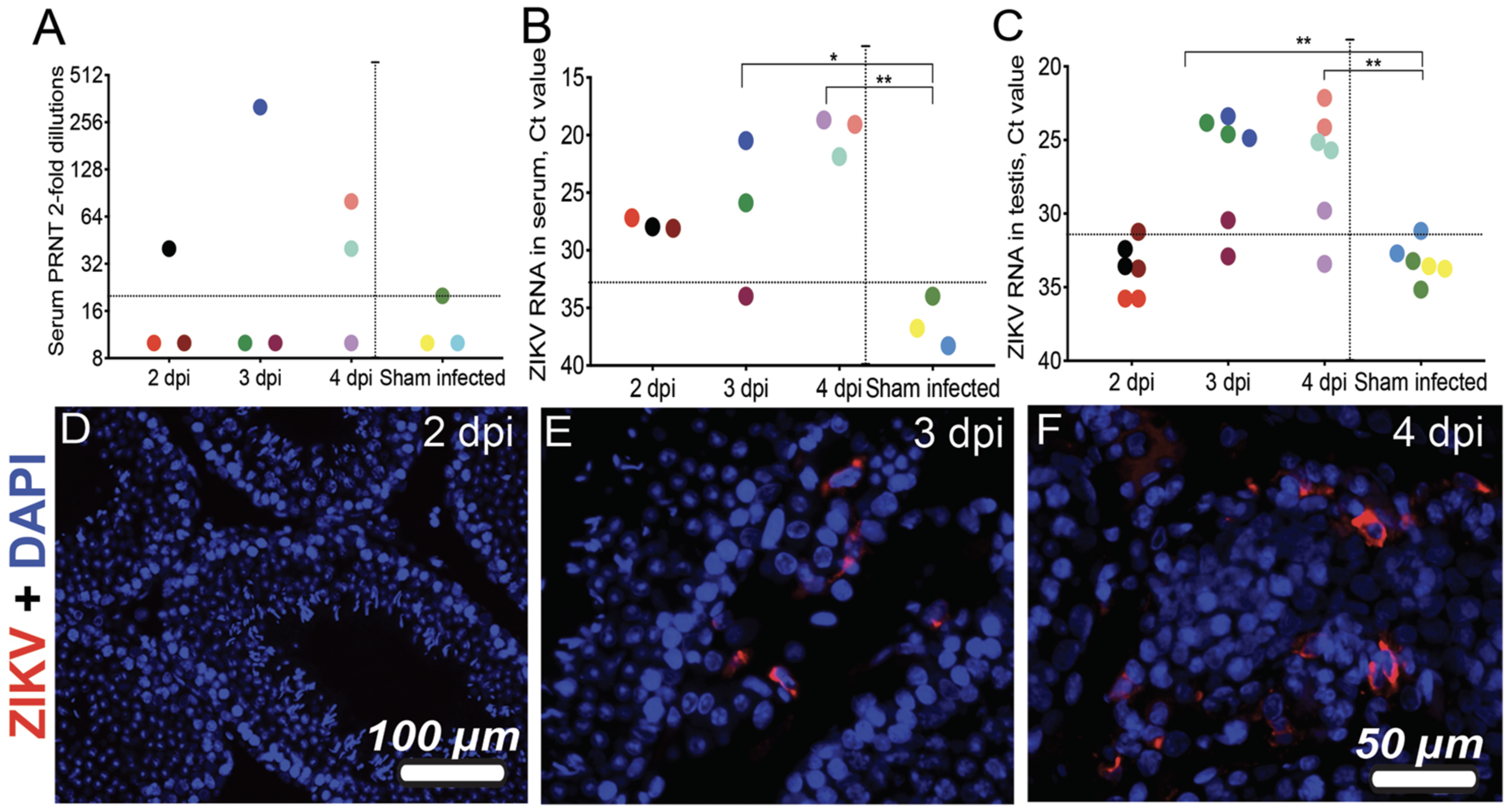 Viruses 11 00092 g001