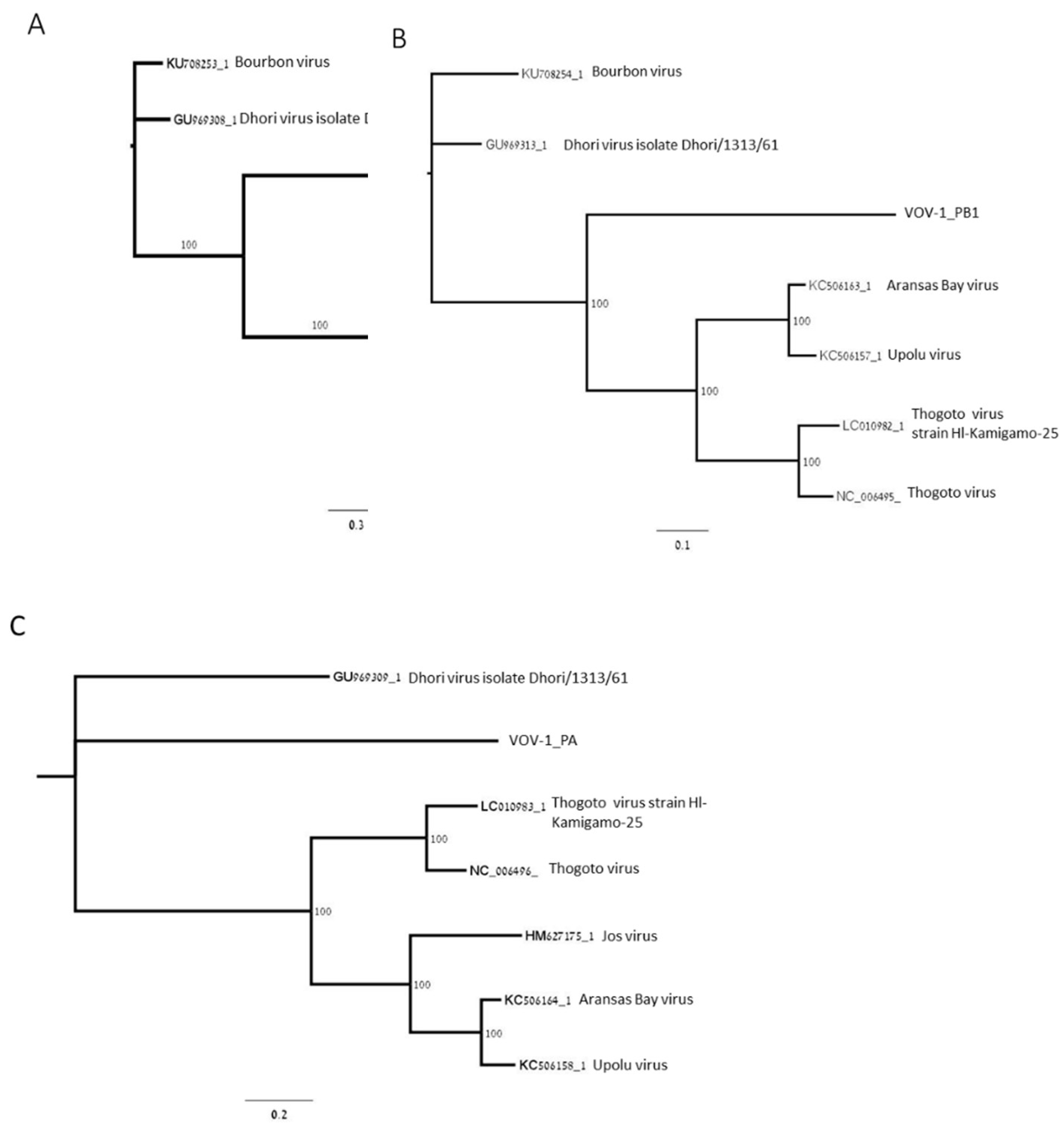 Viruses 11 00094 g002