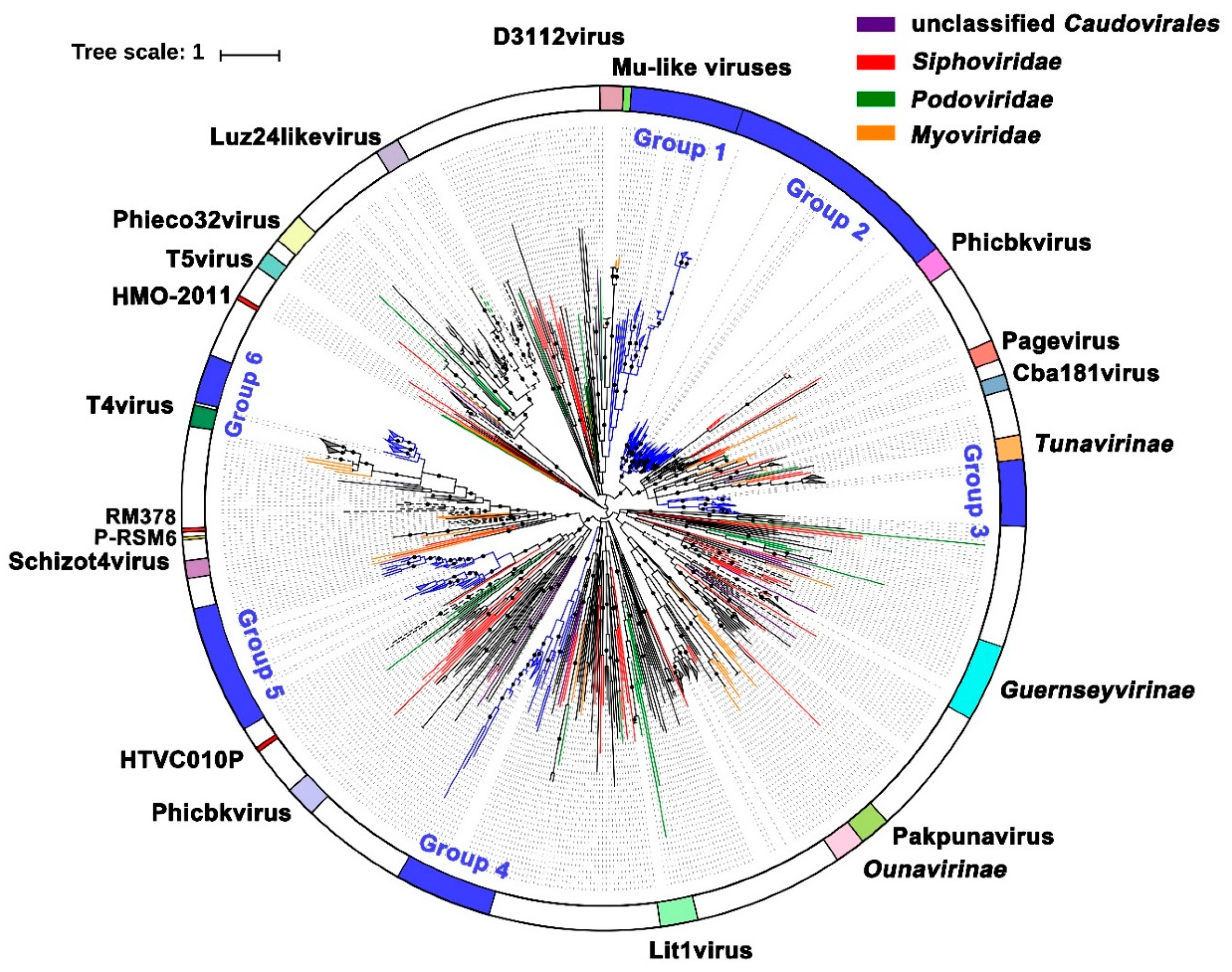 Viruses 11 00095 g005 Viruses 11 00095 g005