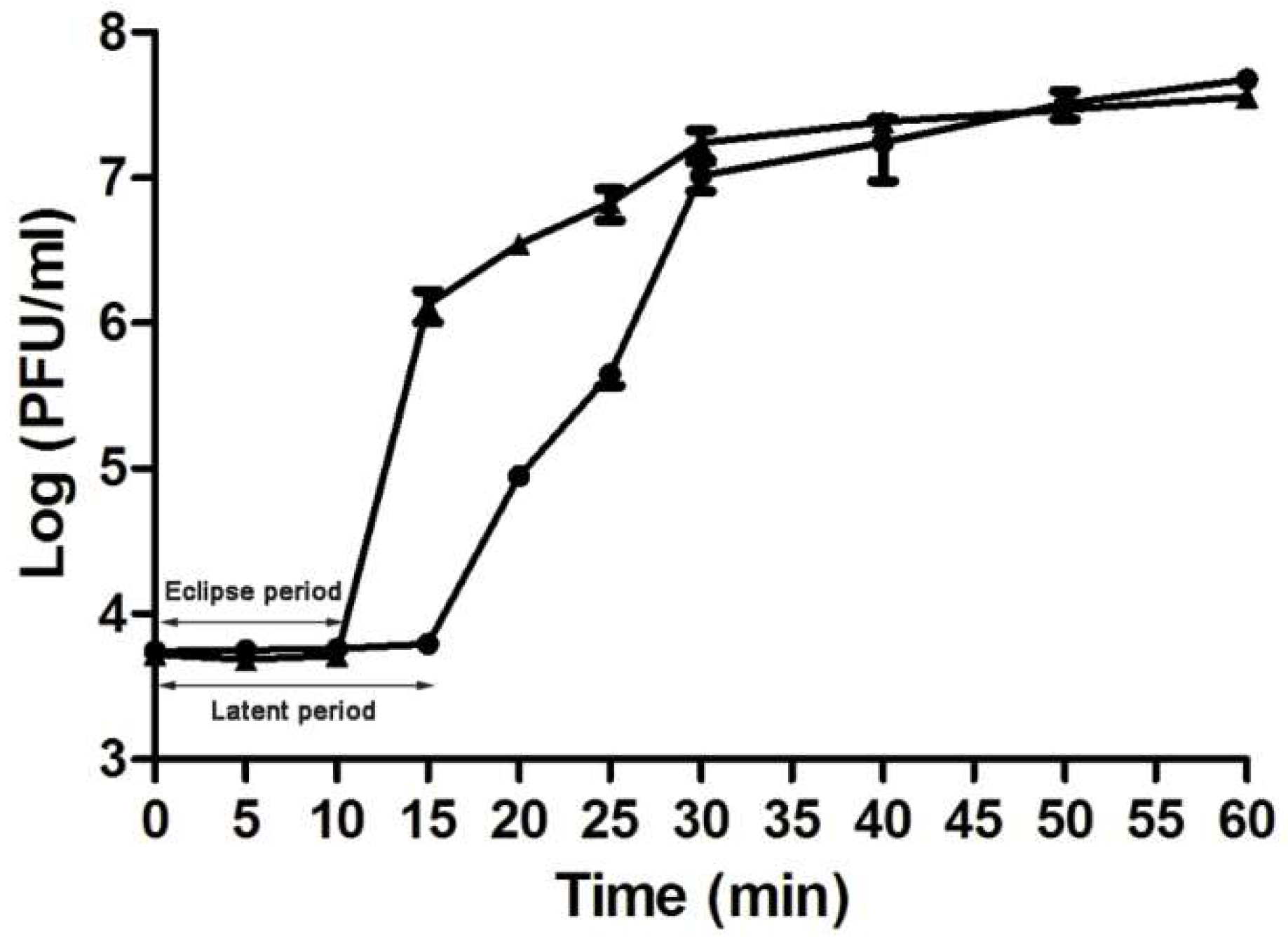 Viruses 11 00104 g002