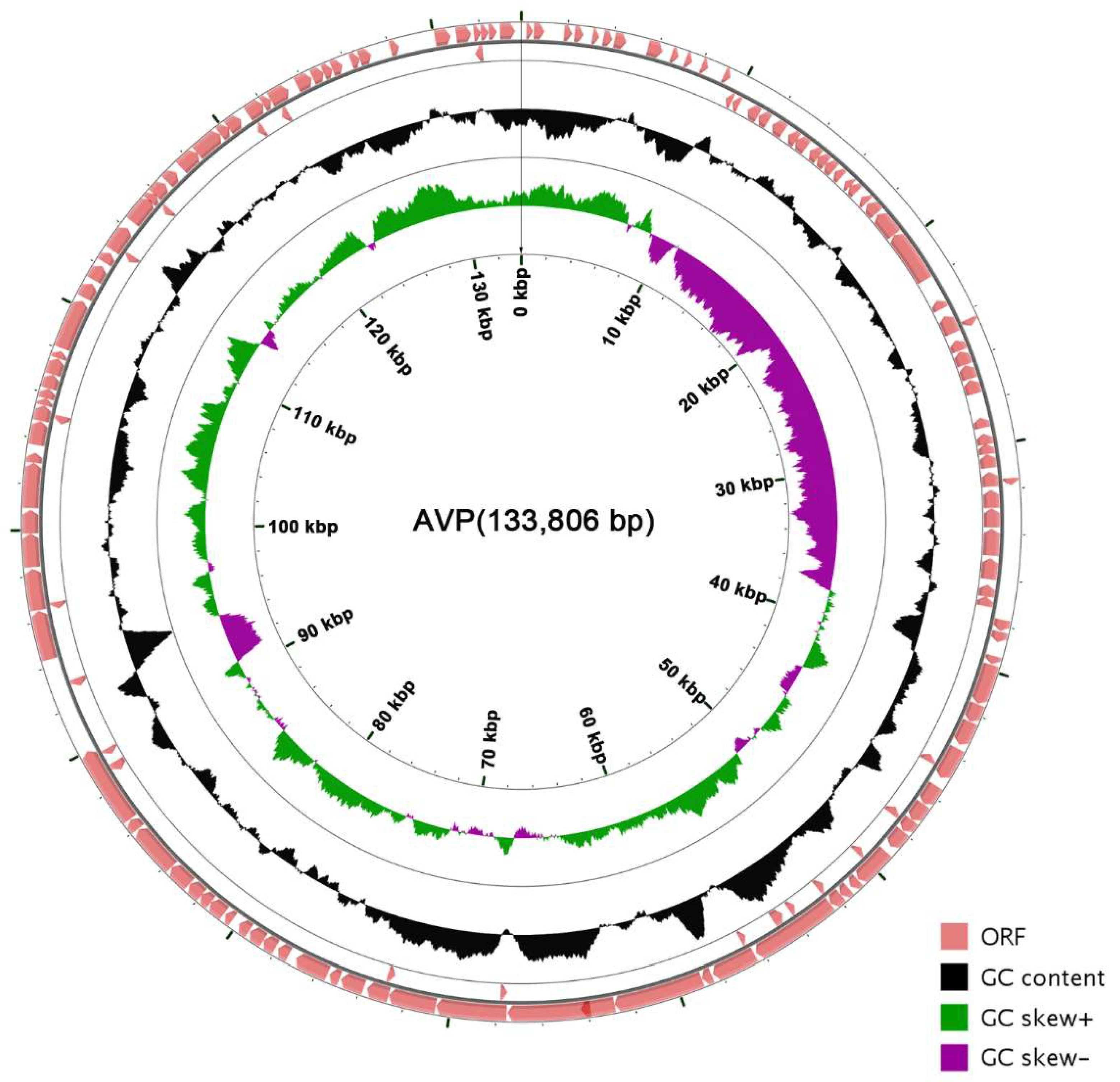 Viruses 11 00104 g003