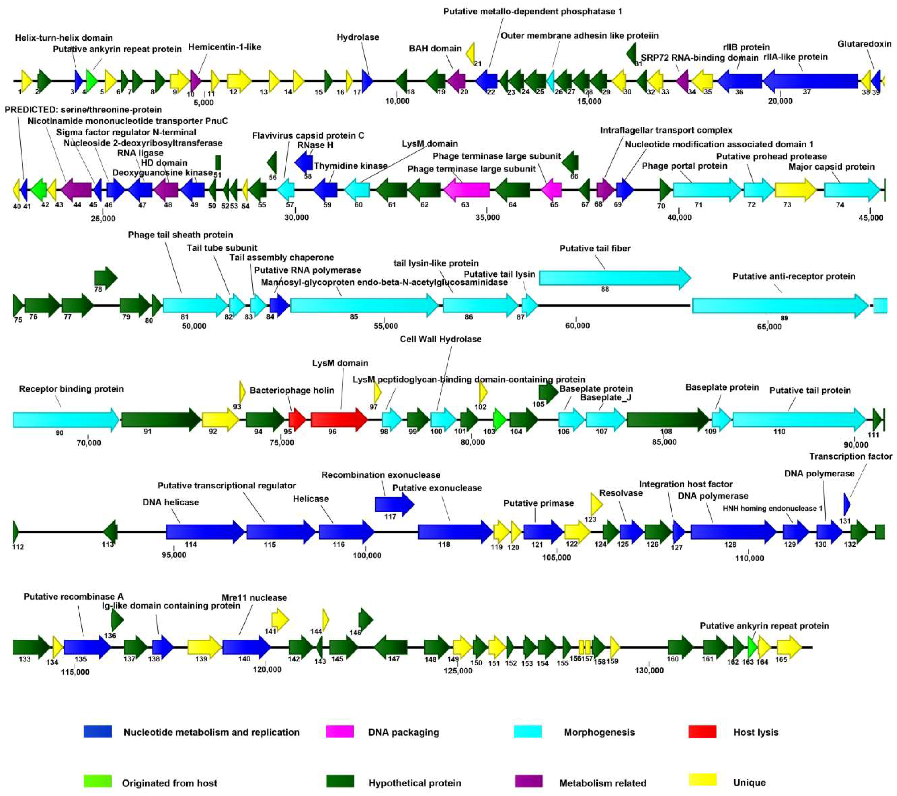 Viruses 11 00104 g004