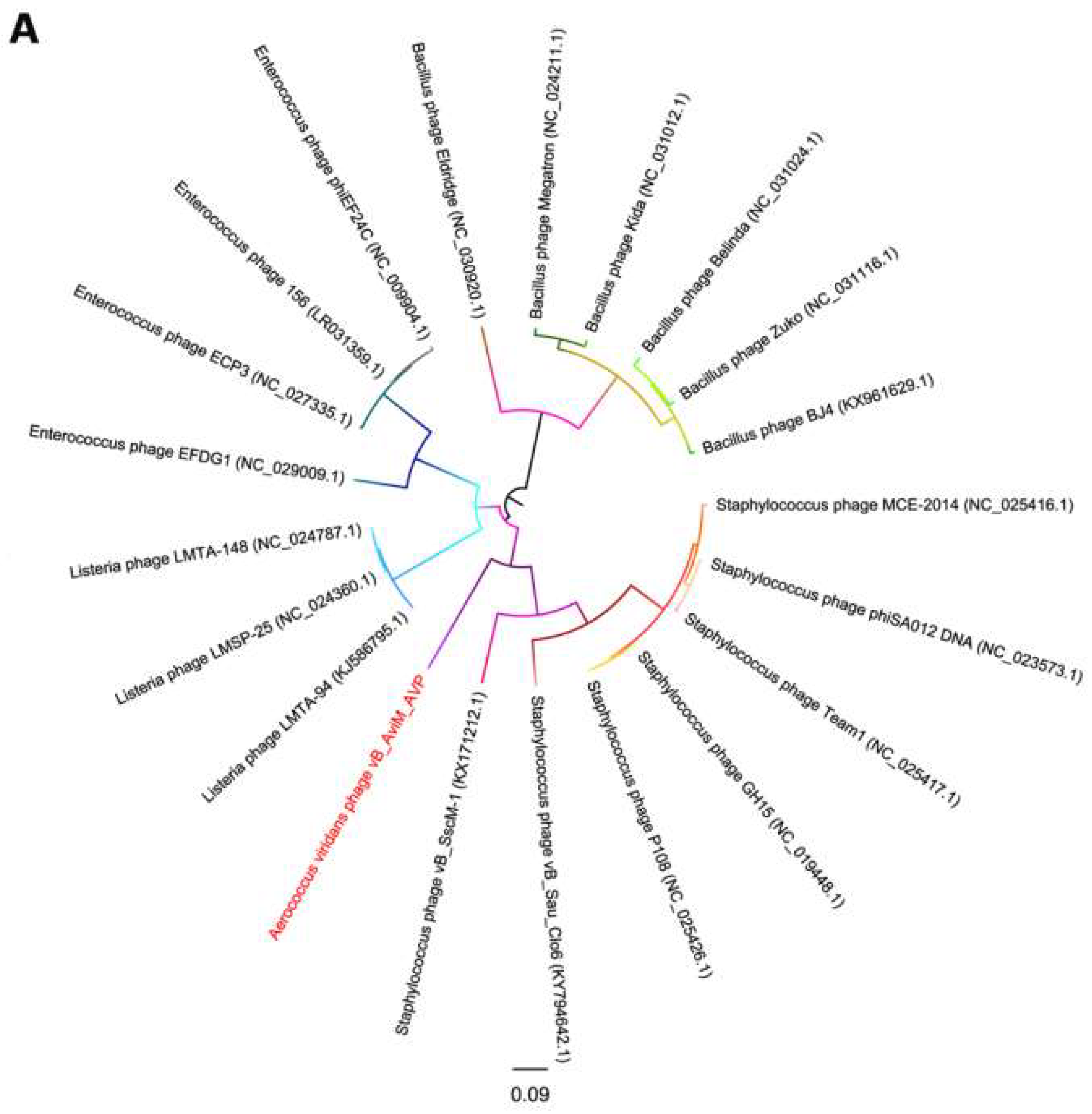 Viruses 11 00104 g005a