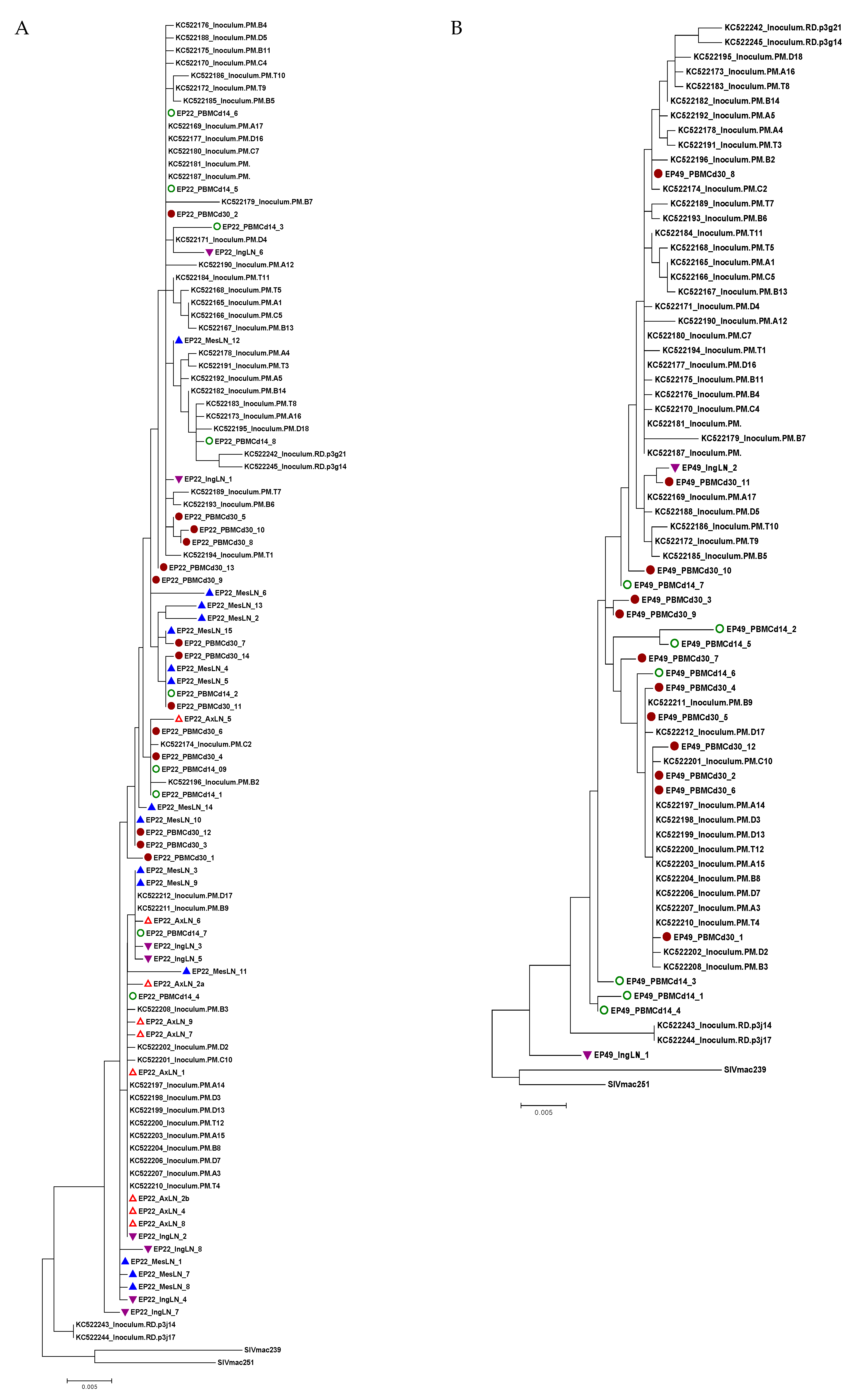 Viruses 11 00105 g005a
