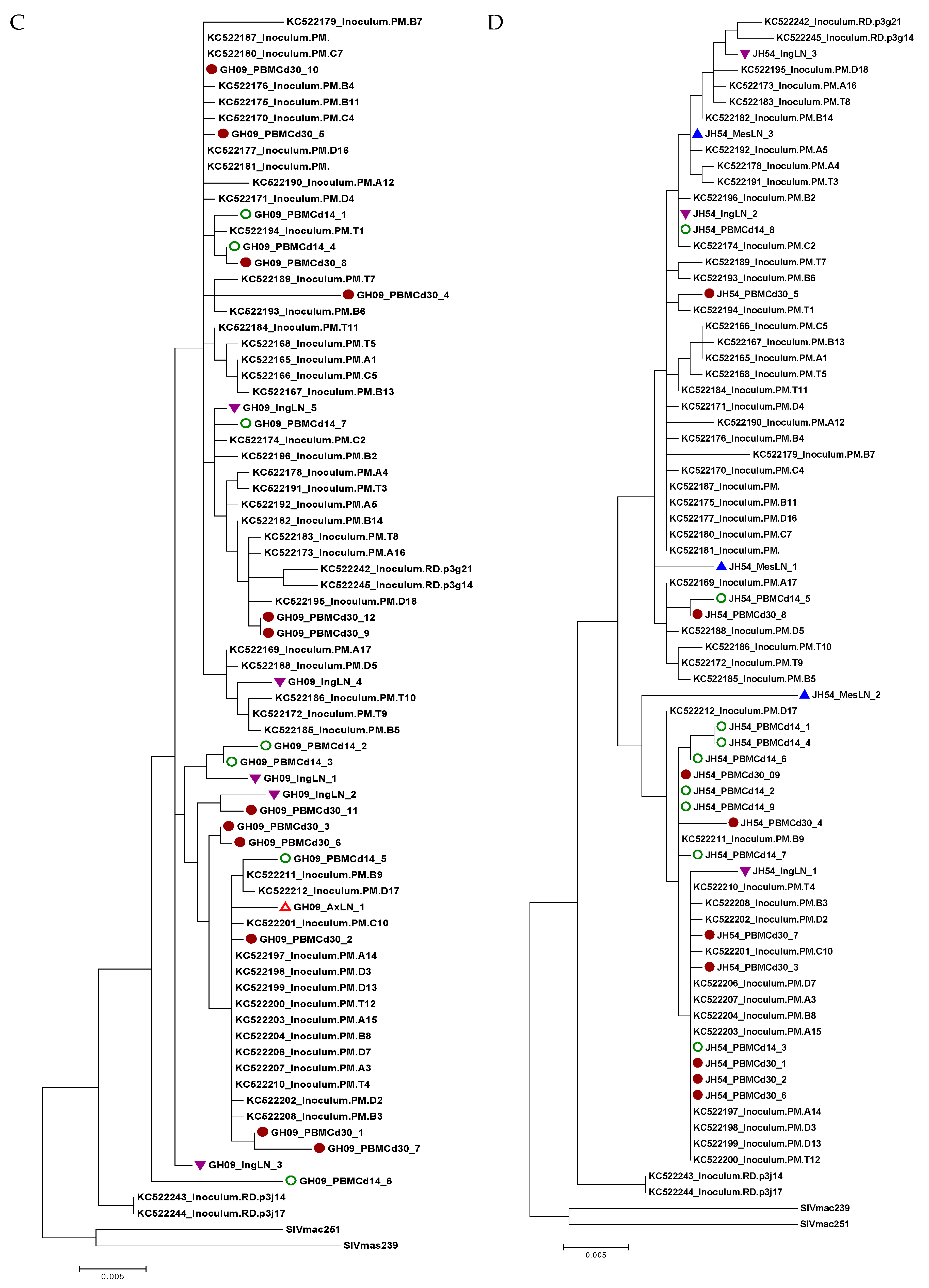 Viruses 11 00105 g005b