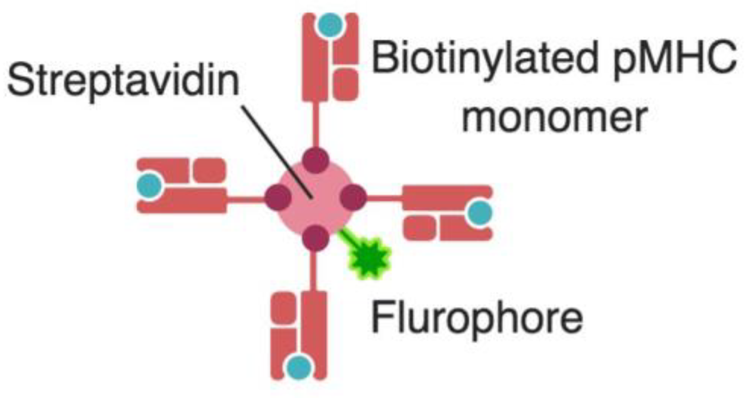 Viruses 11 00106 g003 Viruses 11 00106 g003