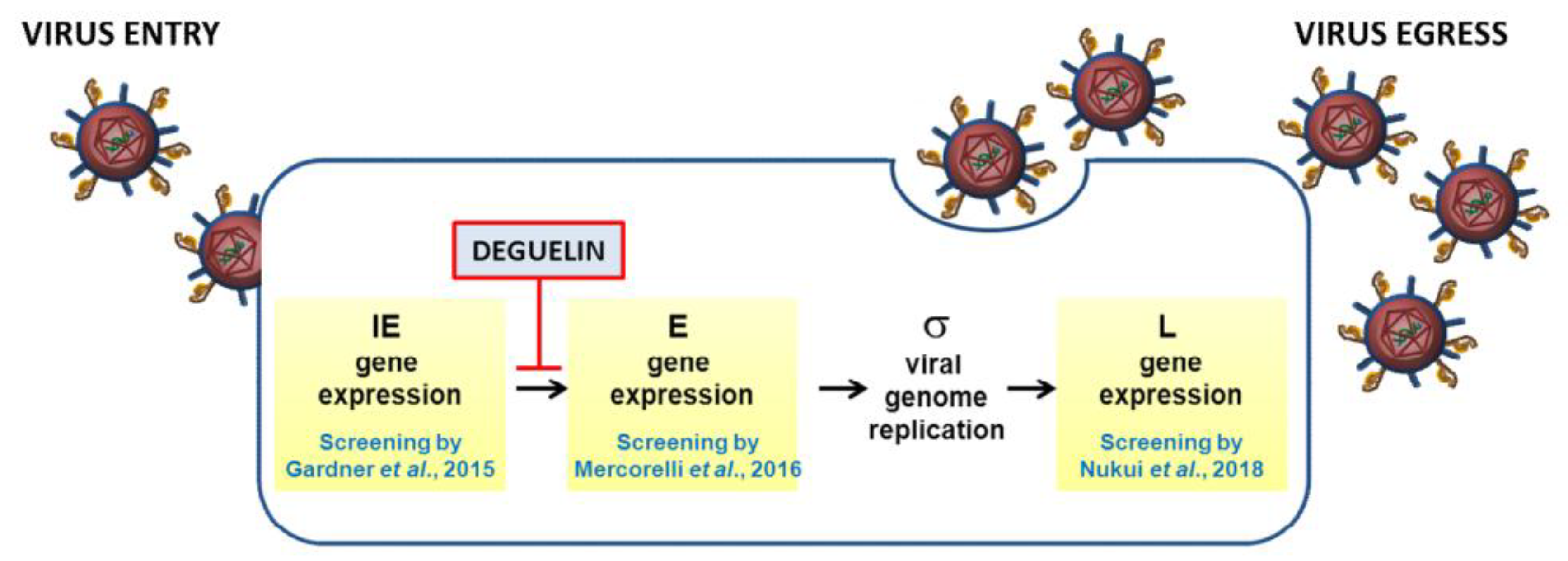 Viruses 11 00117 g001