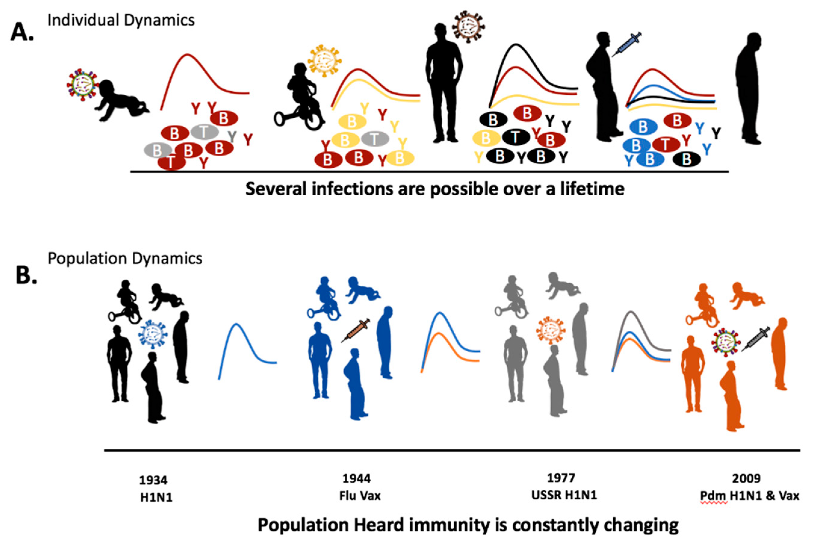 Viruses 11 00122 g001