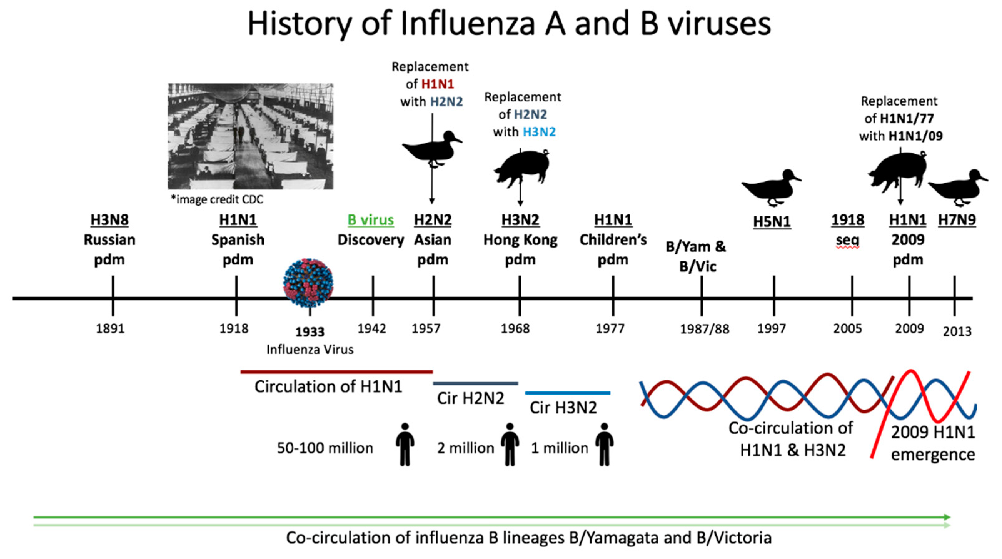 Viruses 11 00122 g003