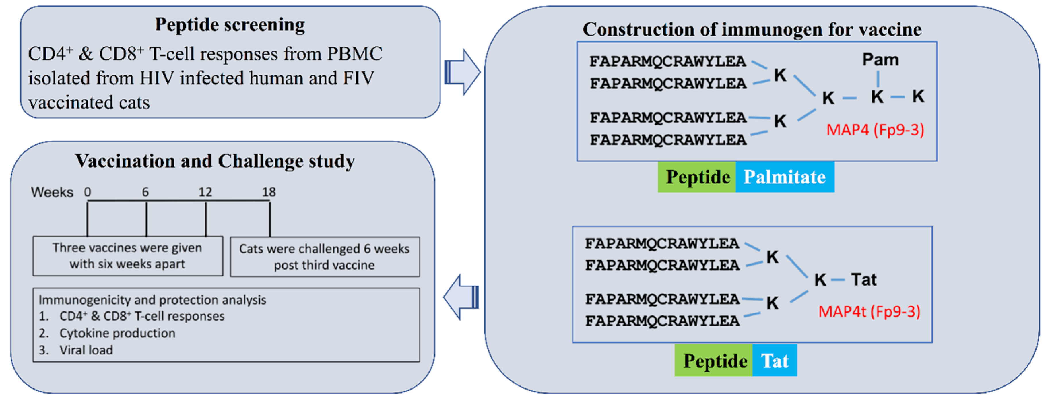 Viruses 11 00136 g001