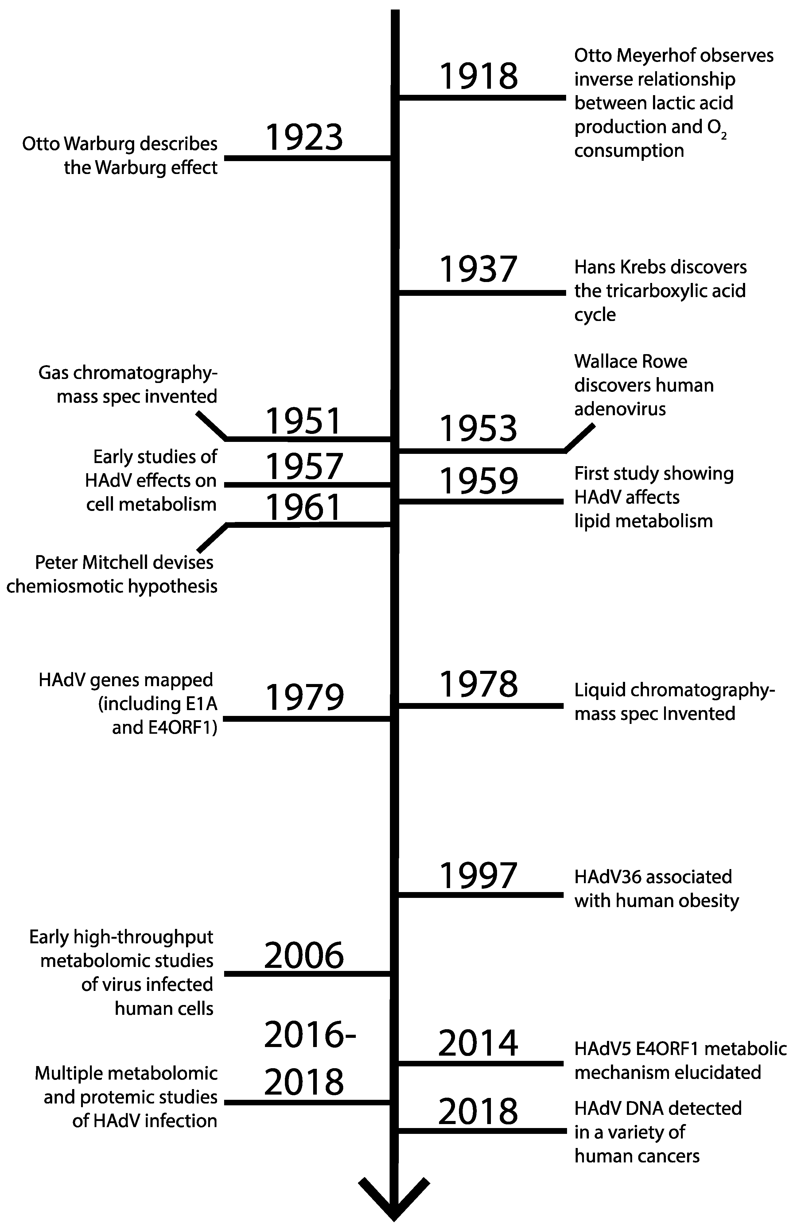 Viruses 11 00141 g003