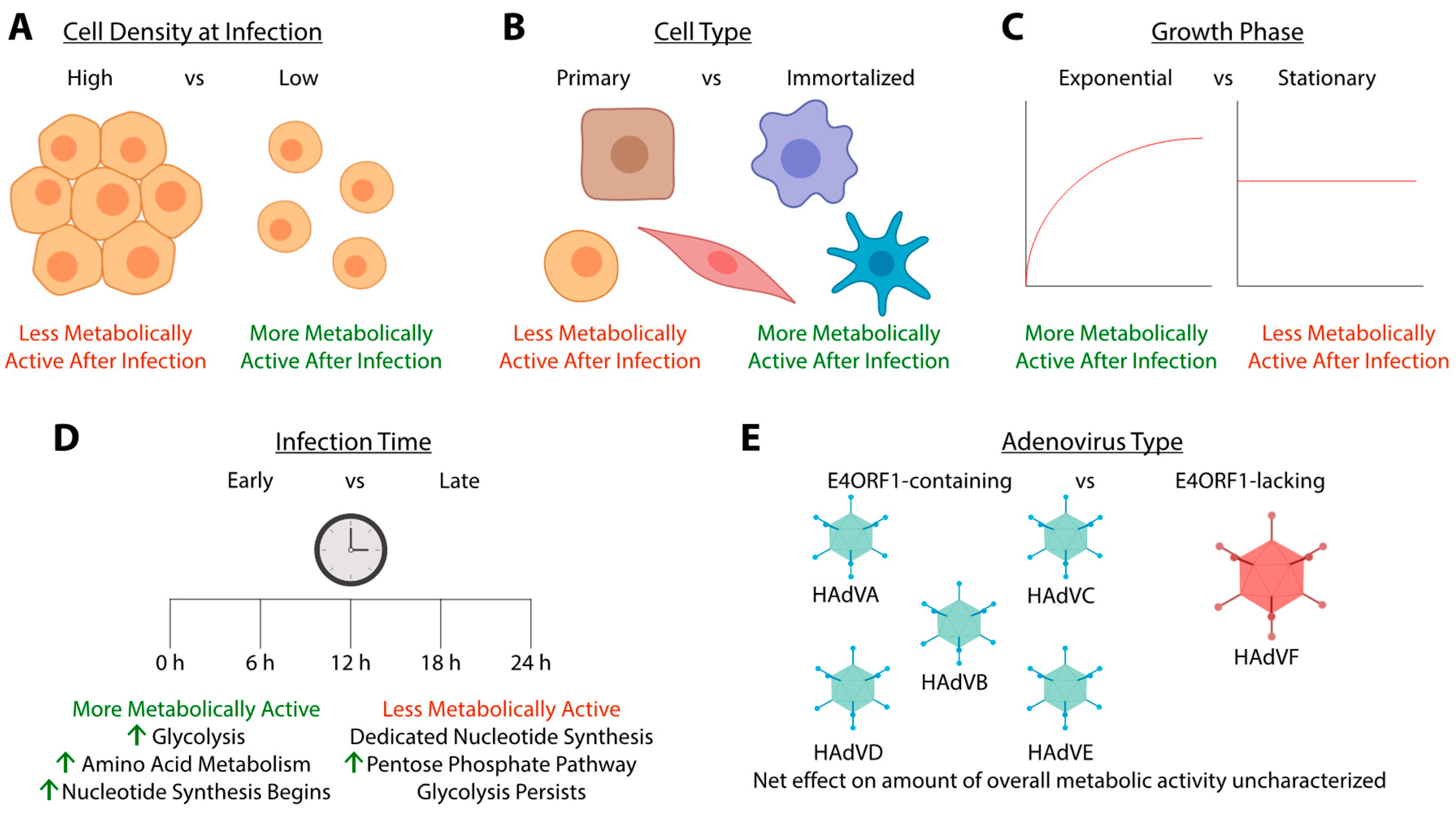Viruses 11 00141 g004