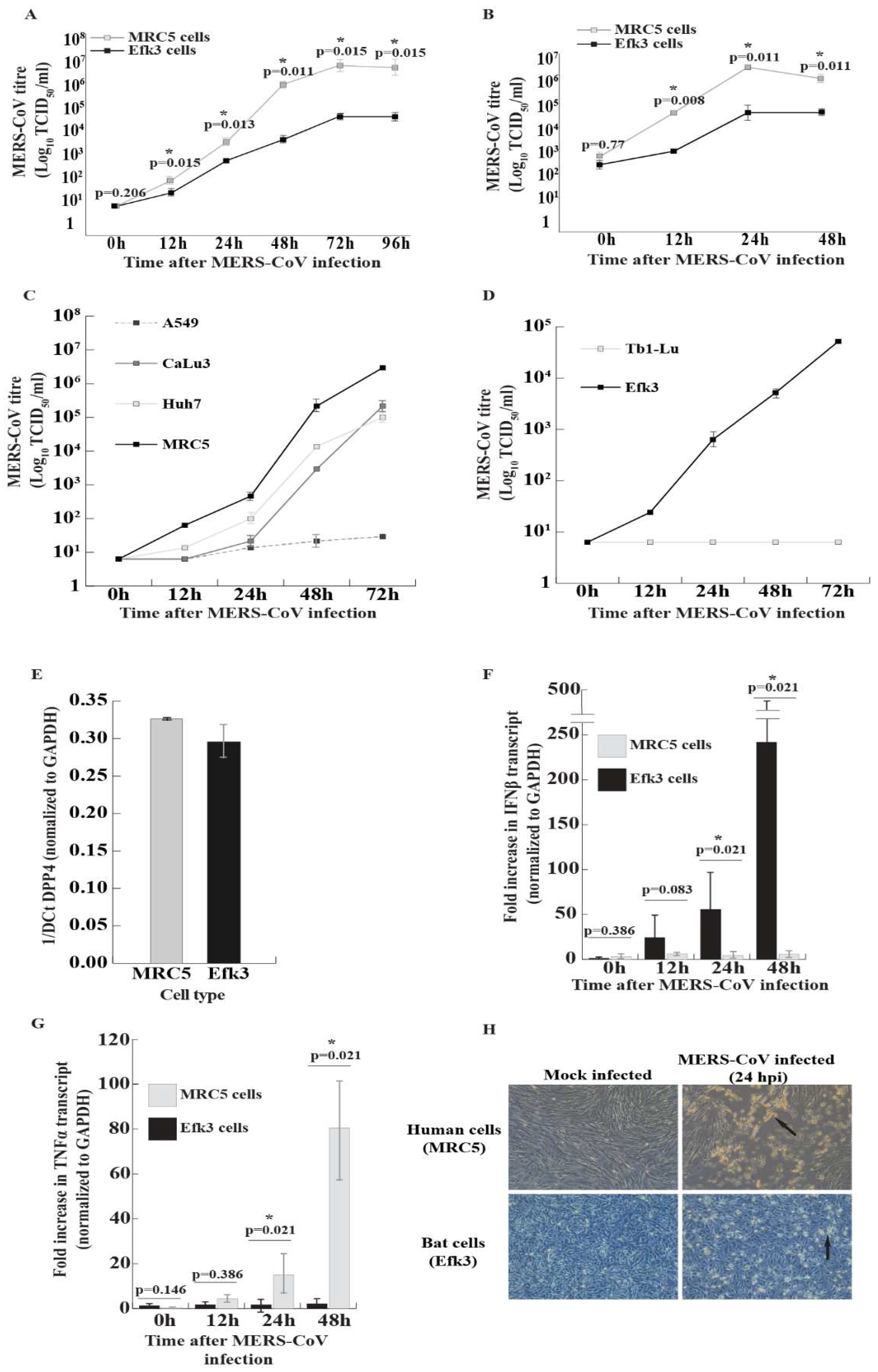 Viruses 11 00152 g001