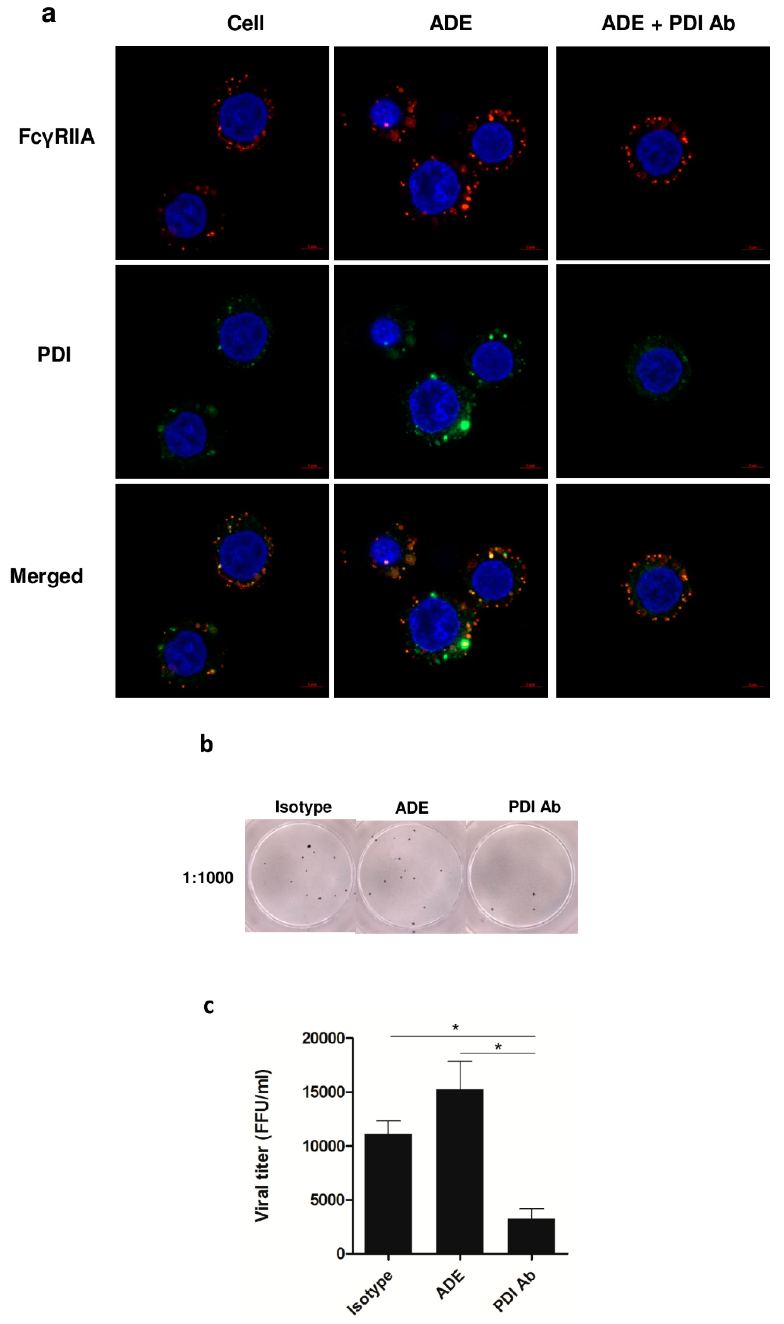 Viruses 11 00155 g005