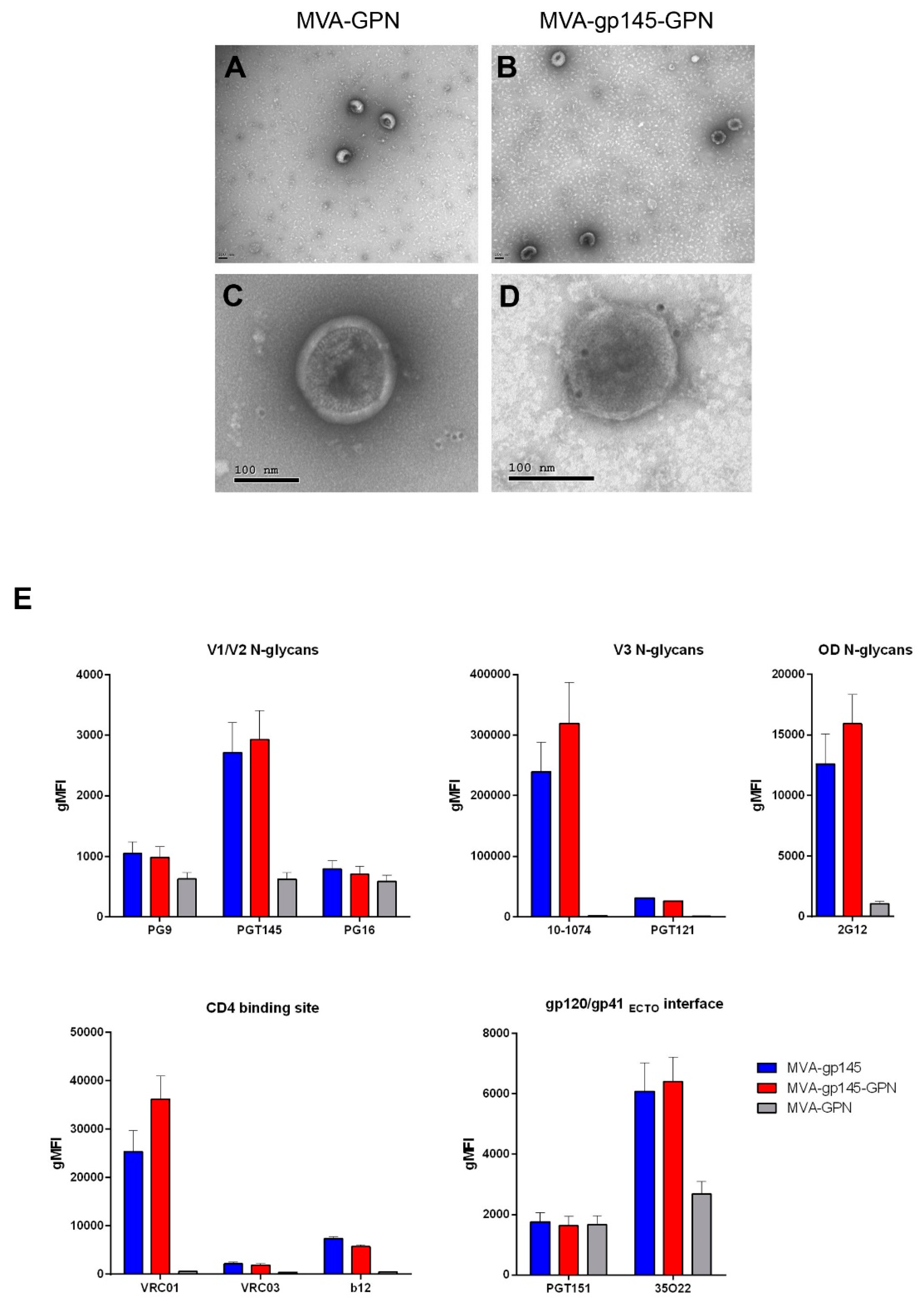 Viruses 11 00160 g002 Viruses 11 00160 g002