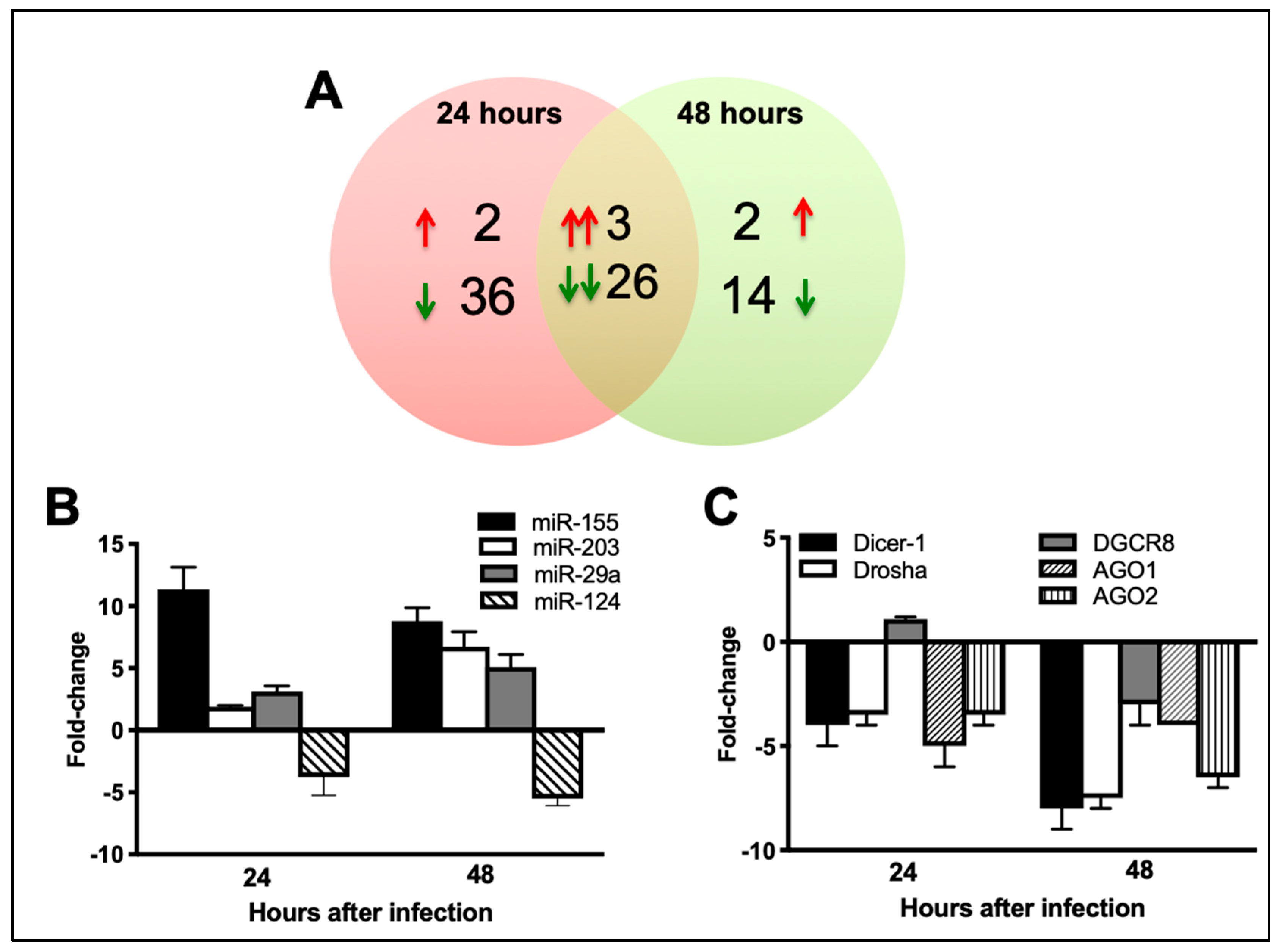 Viruses 11 00162 g002