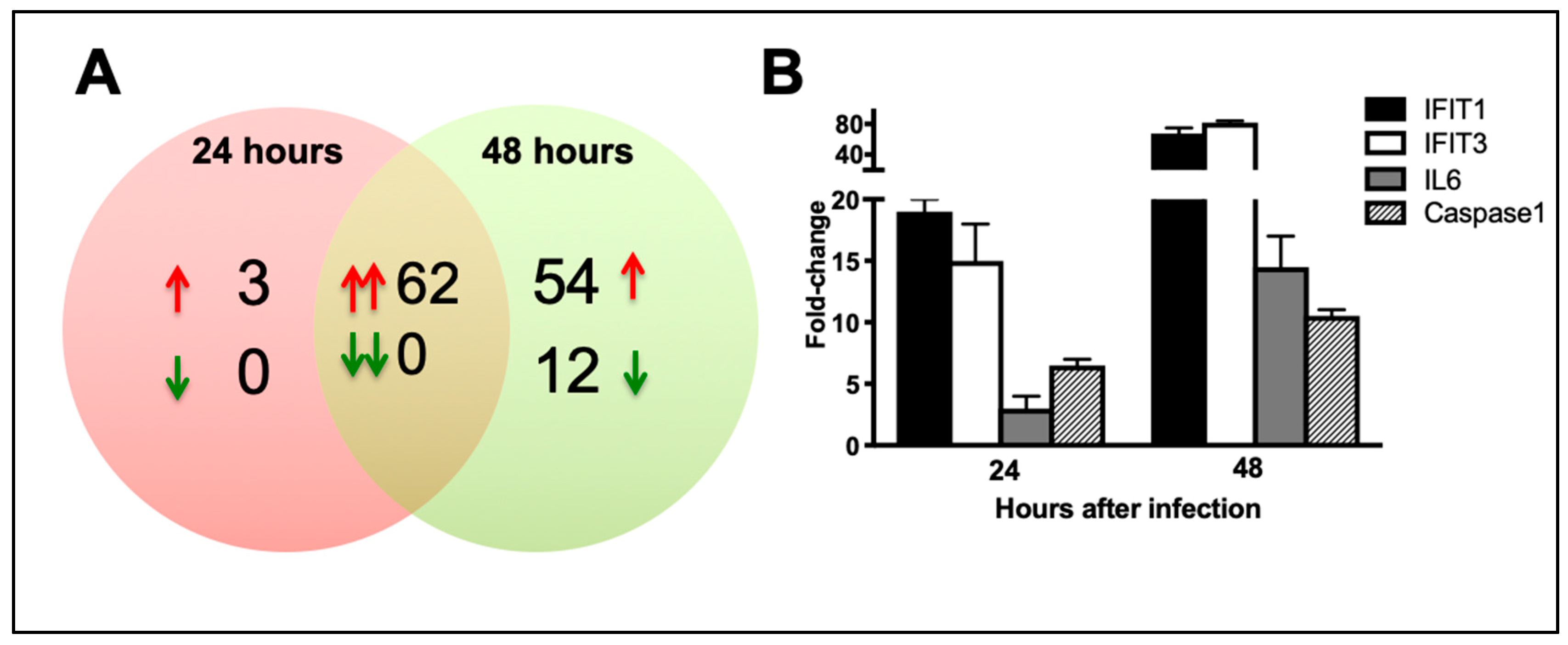 Viruses 11 00162 g003