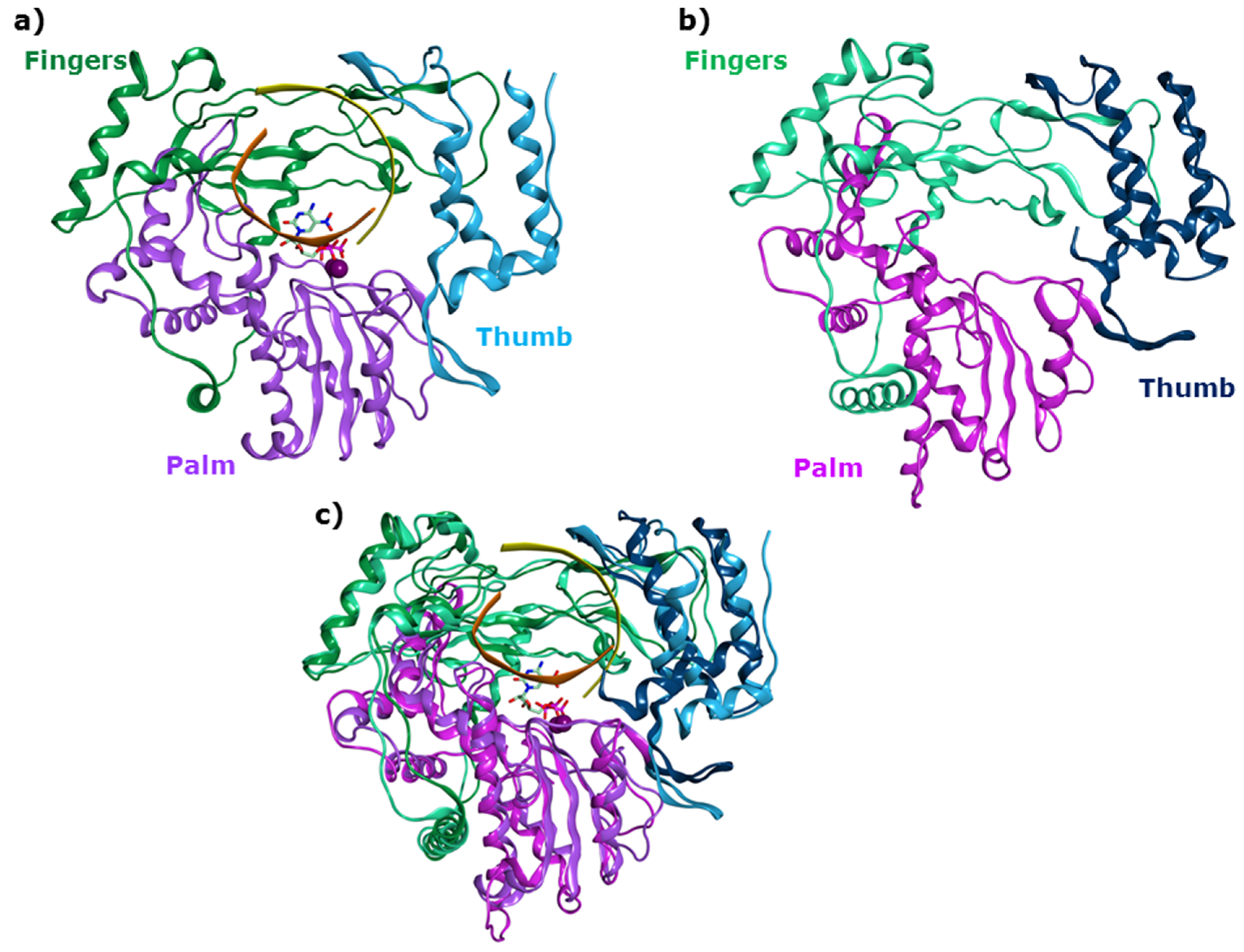 Viruses 11 00173 g001