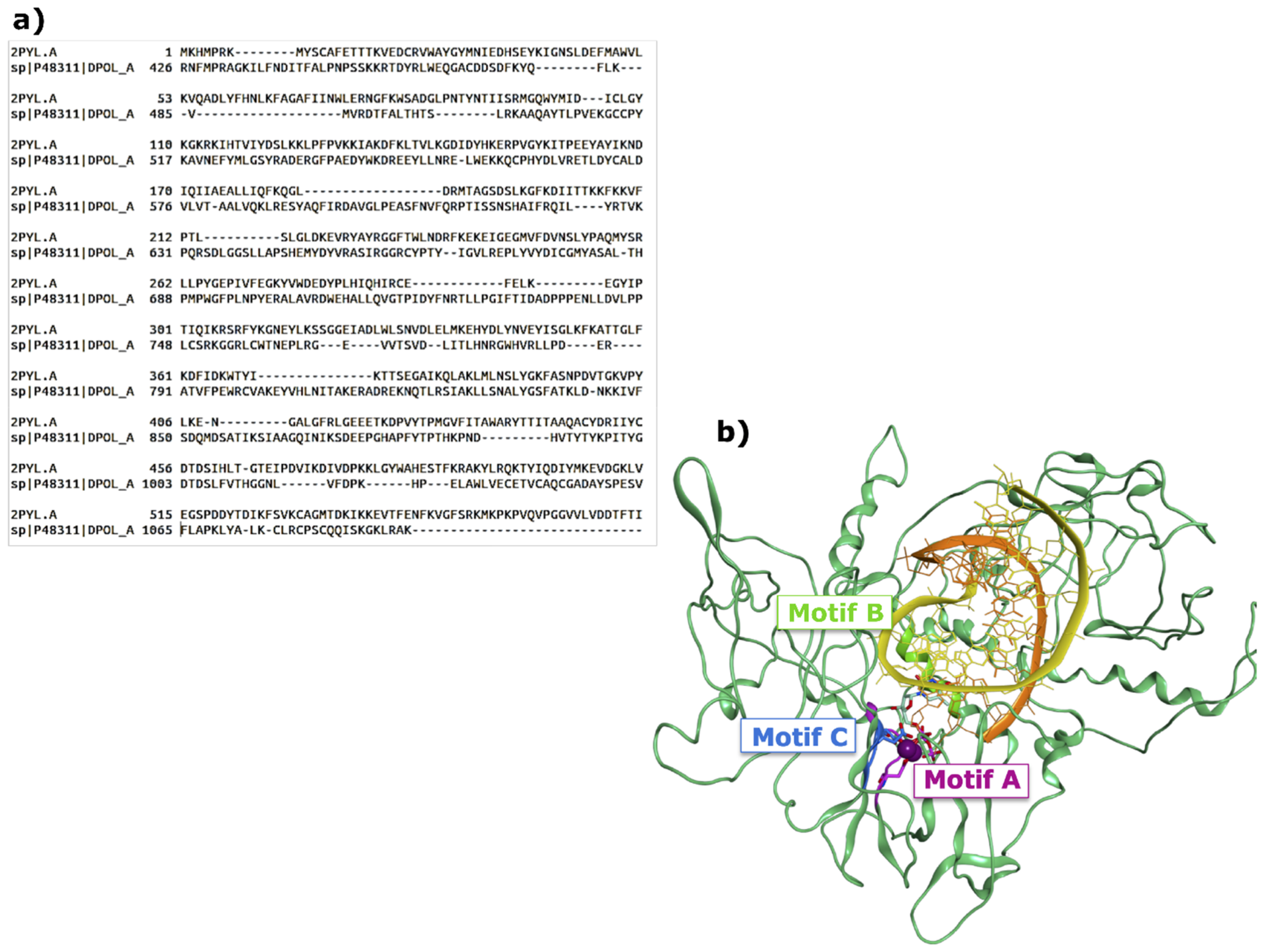 Viruses 11 00173 g004