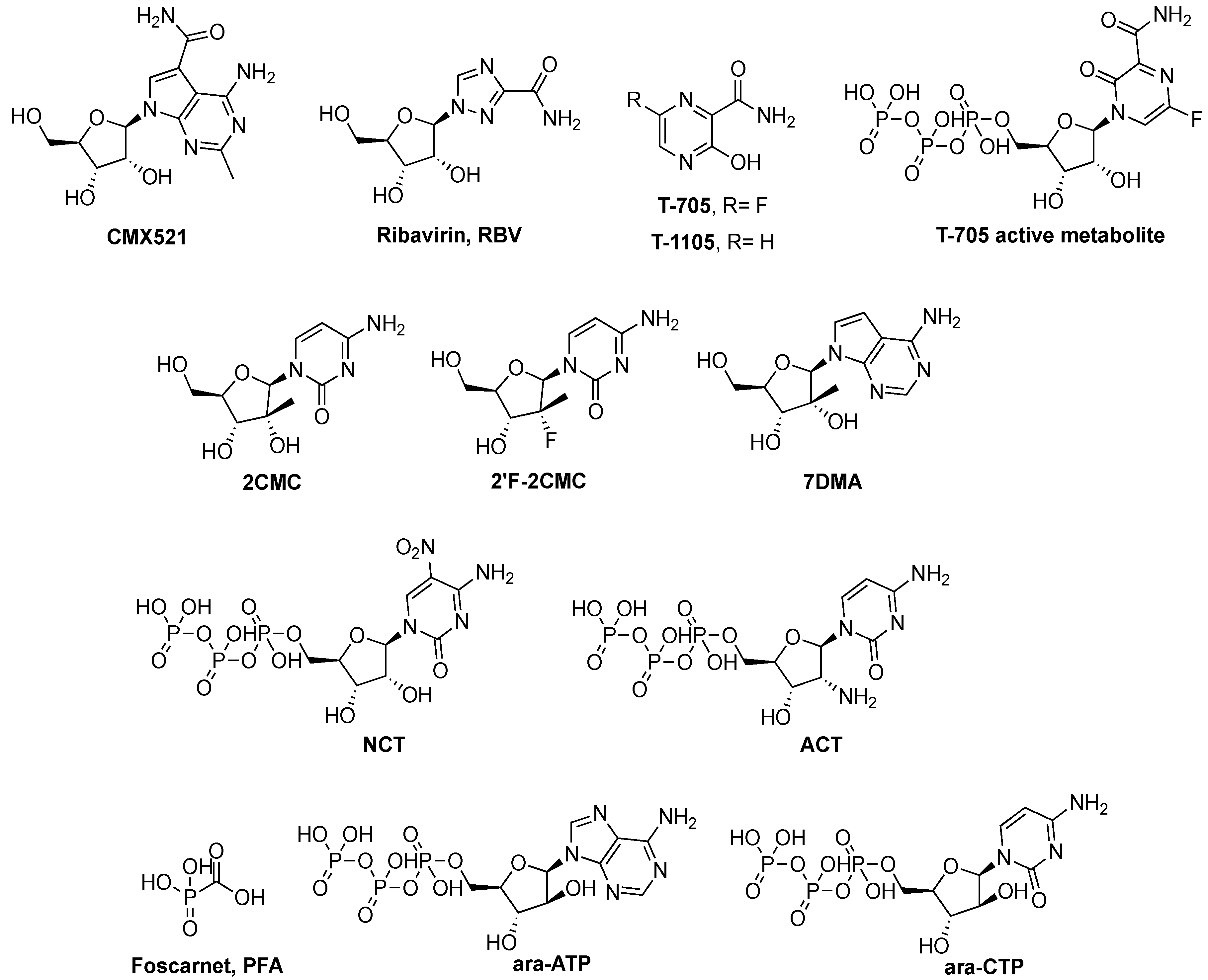 Viruses 11 00173 g006