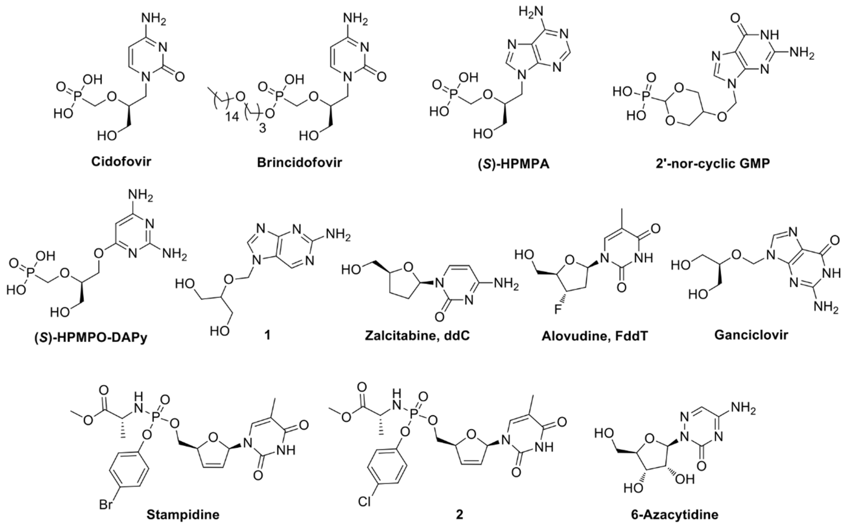 Viruses 11 00173 g007