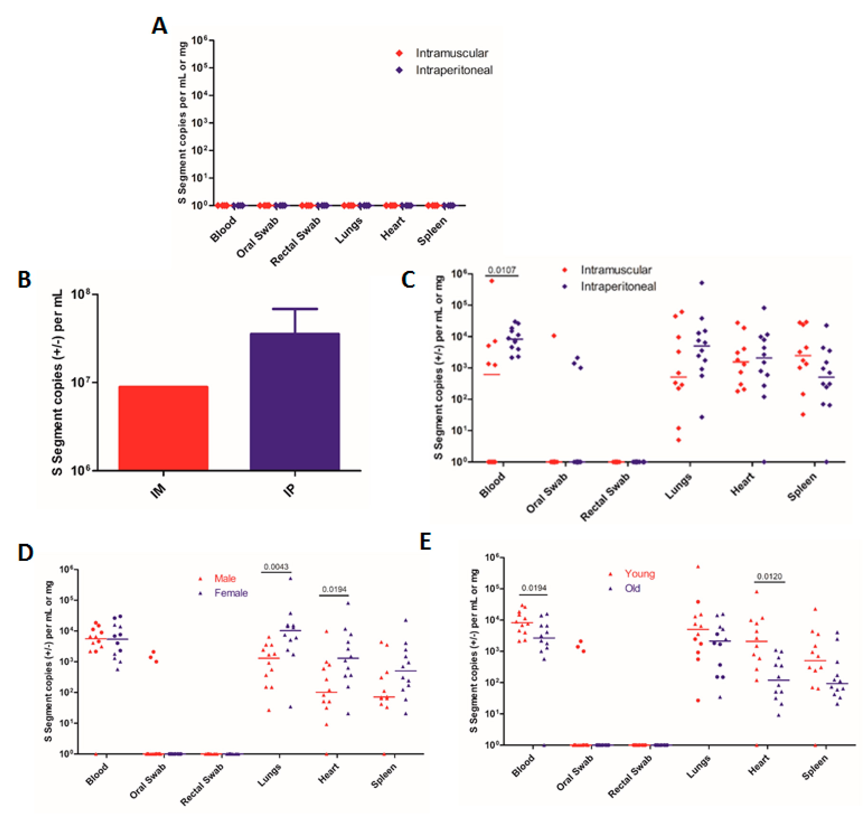 Viruses 11 00183 g001