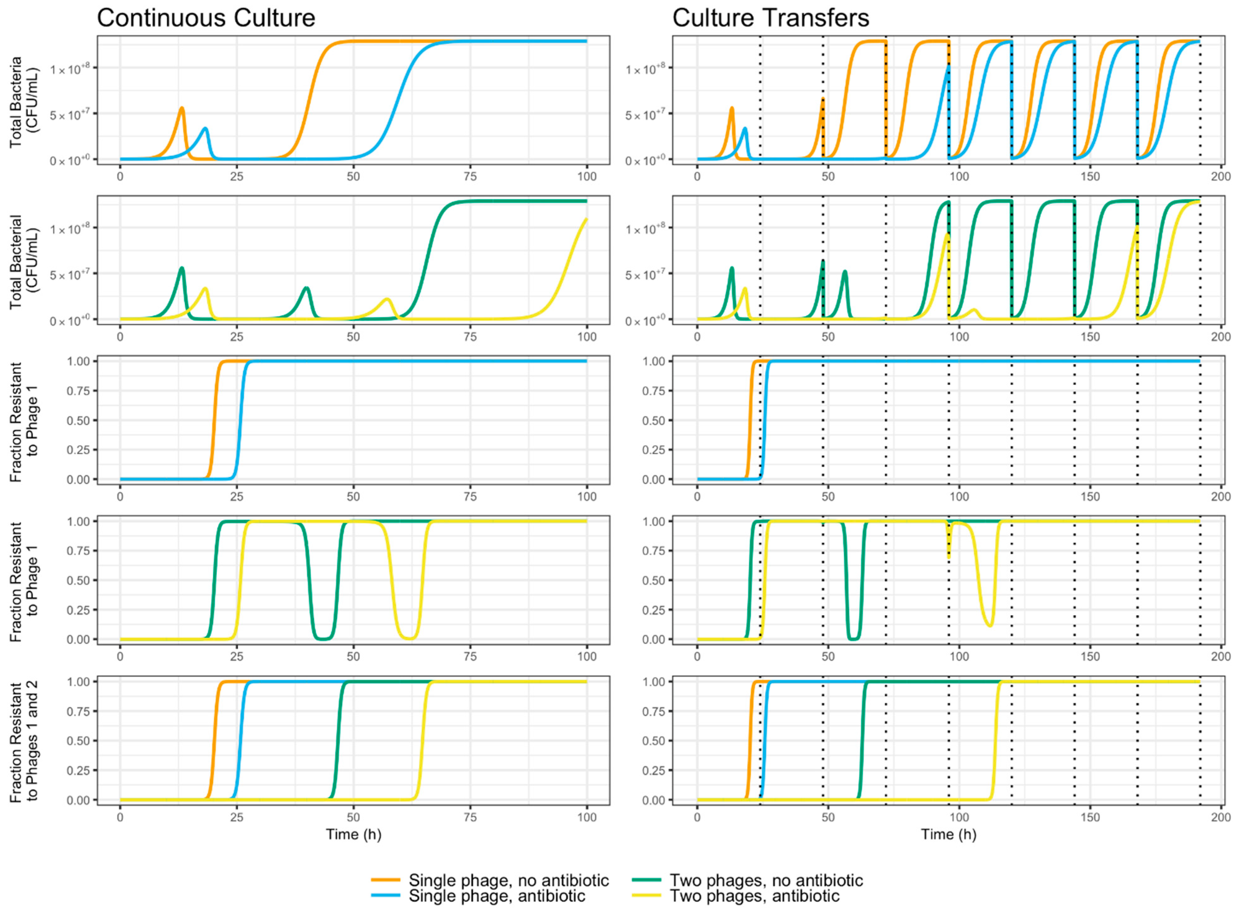 Viruses 11 00188 g007