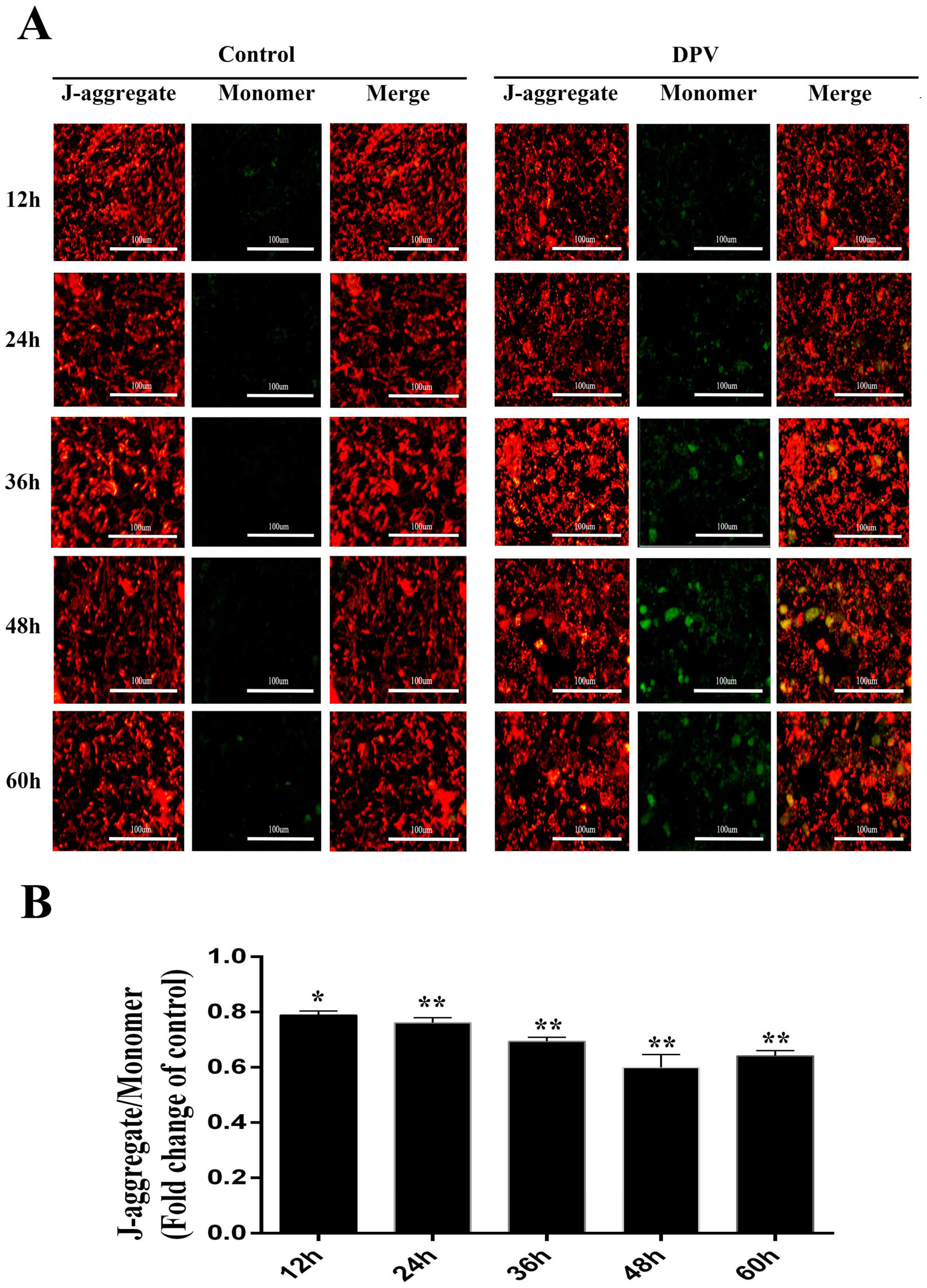 Viruses 11 00196 g005