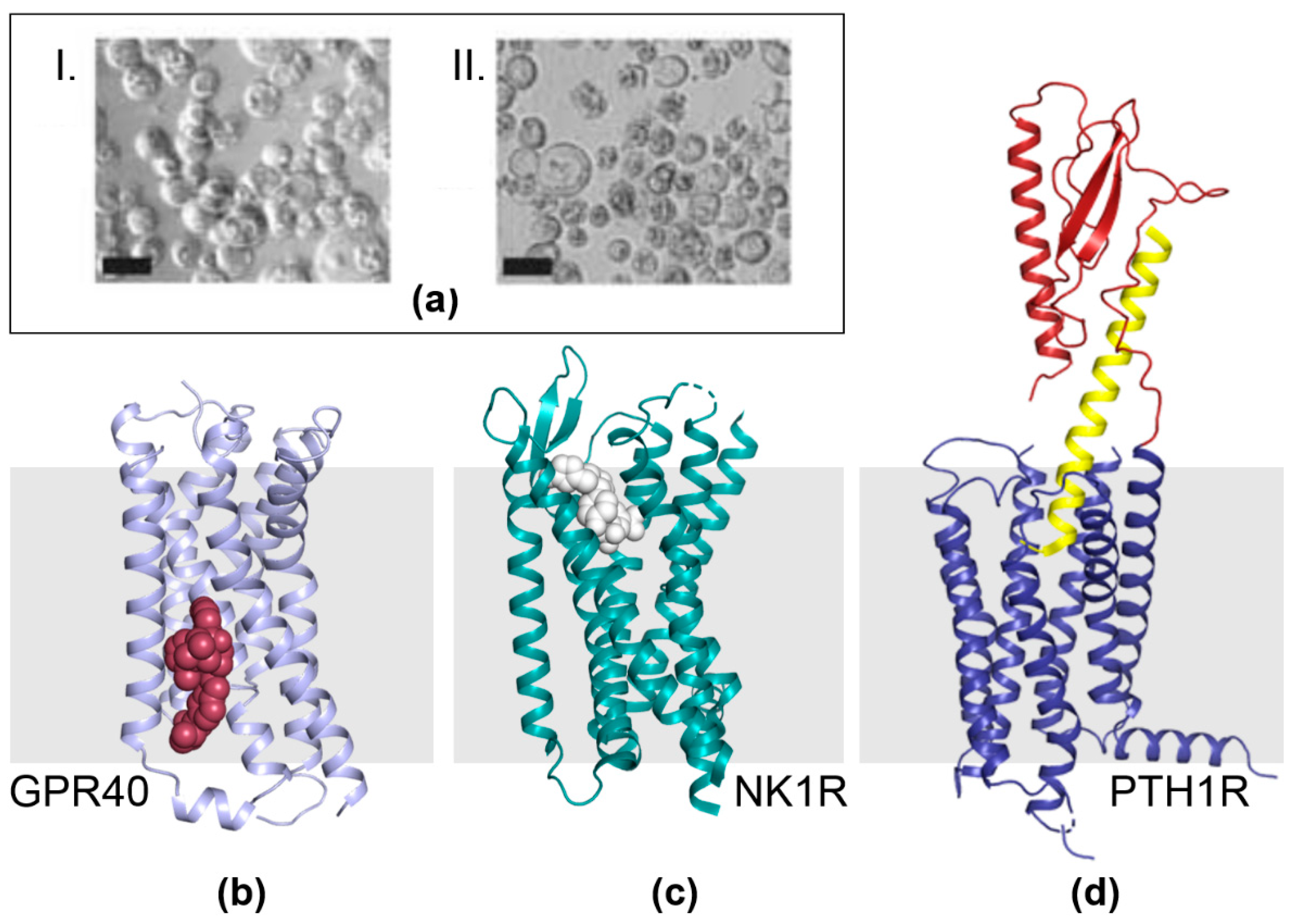 Viruses 11 00198 g004