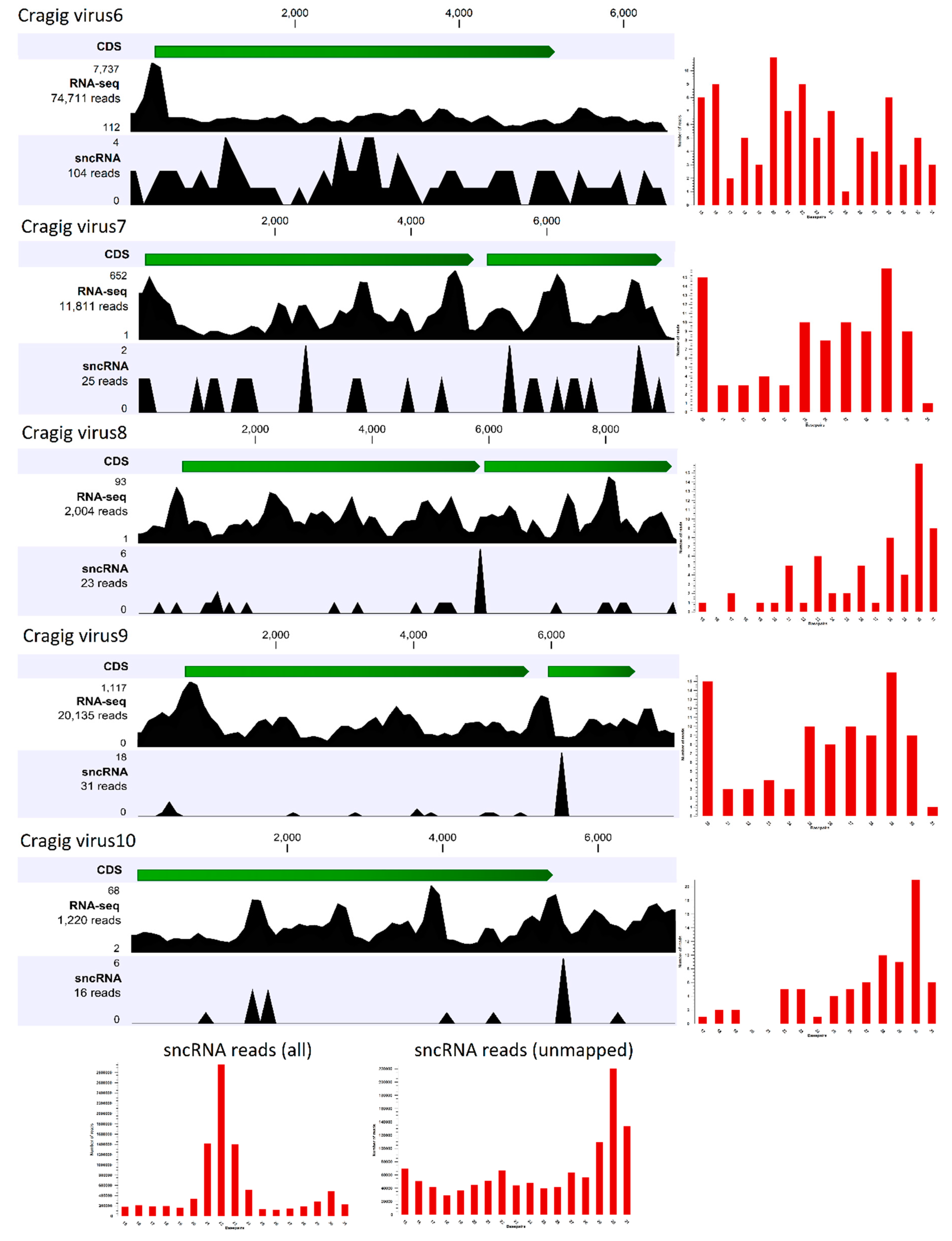 Viruses 11 00205 g003
