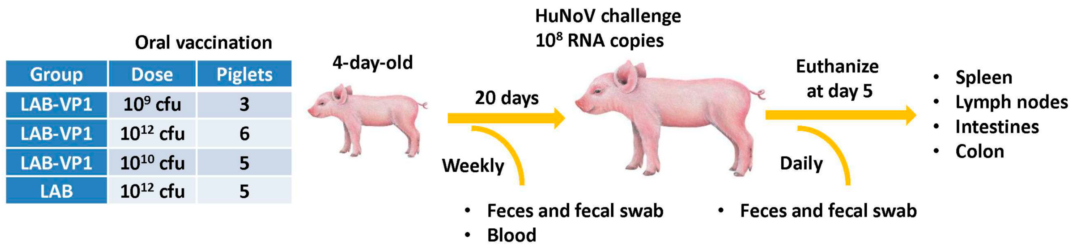 Viruses 11 00213 g001